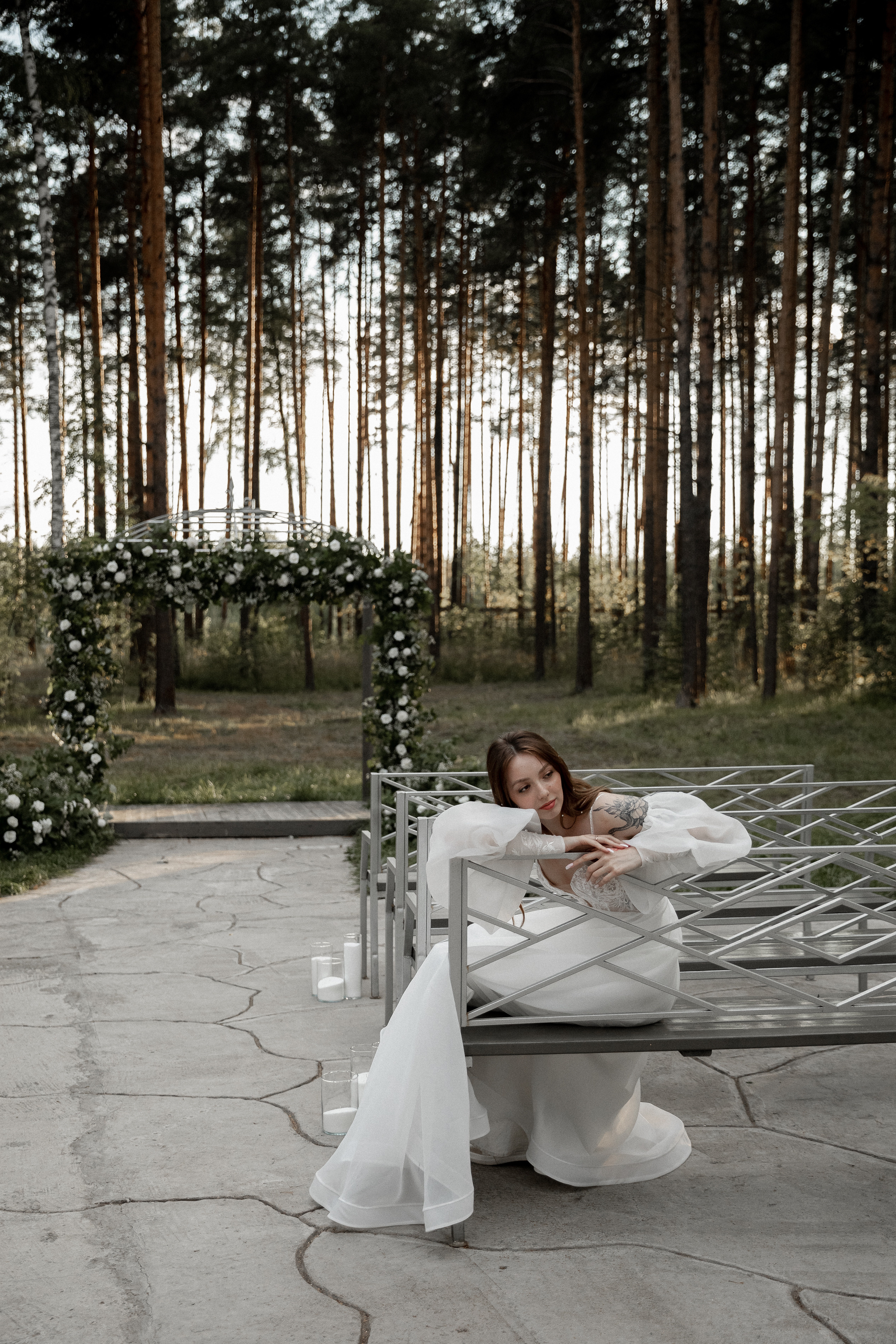 Мопс на торте. Свадебный фотограф Ярославль, Рыбинск