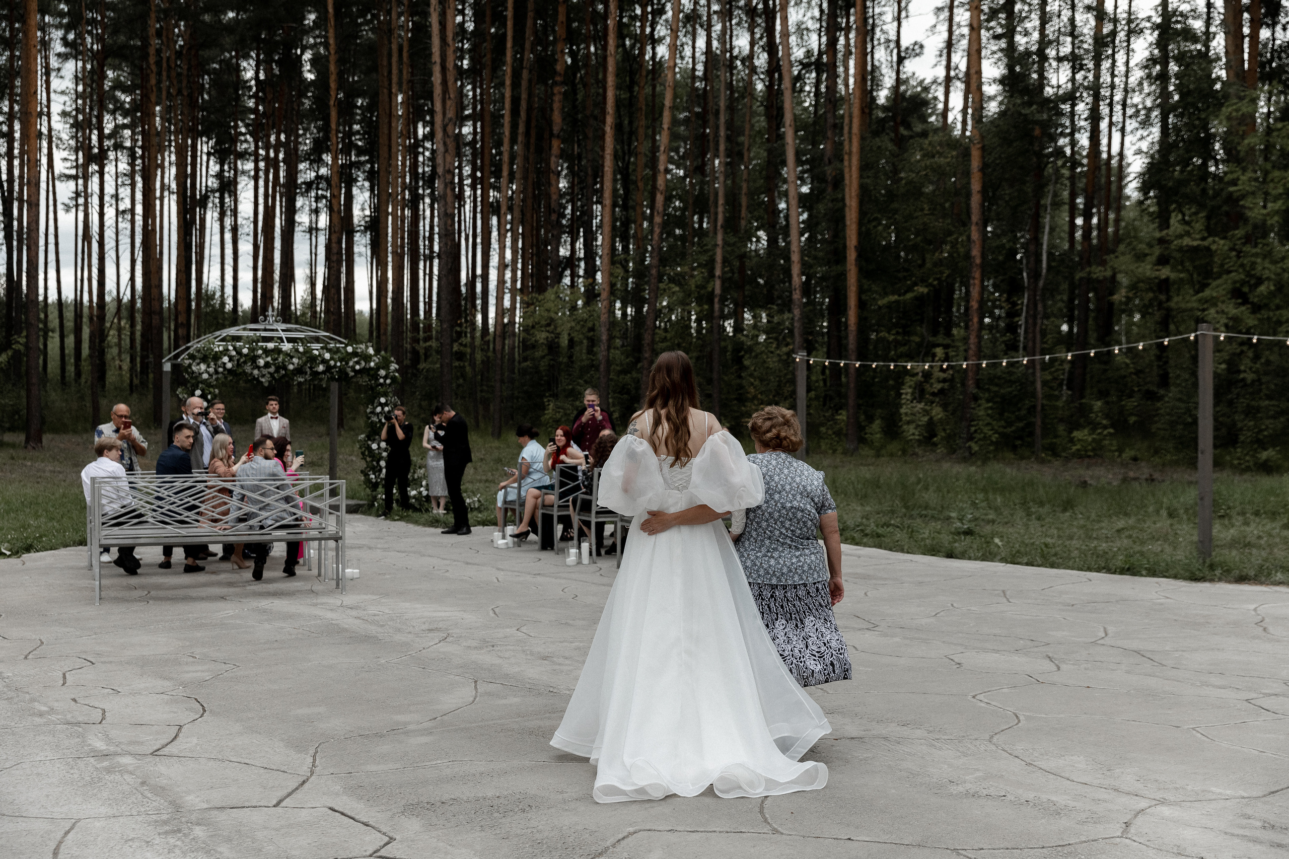 Мопс на торте. Свадебный фотограф Ярославль, Рыбинск