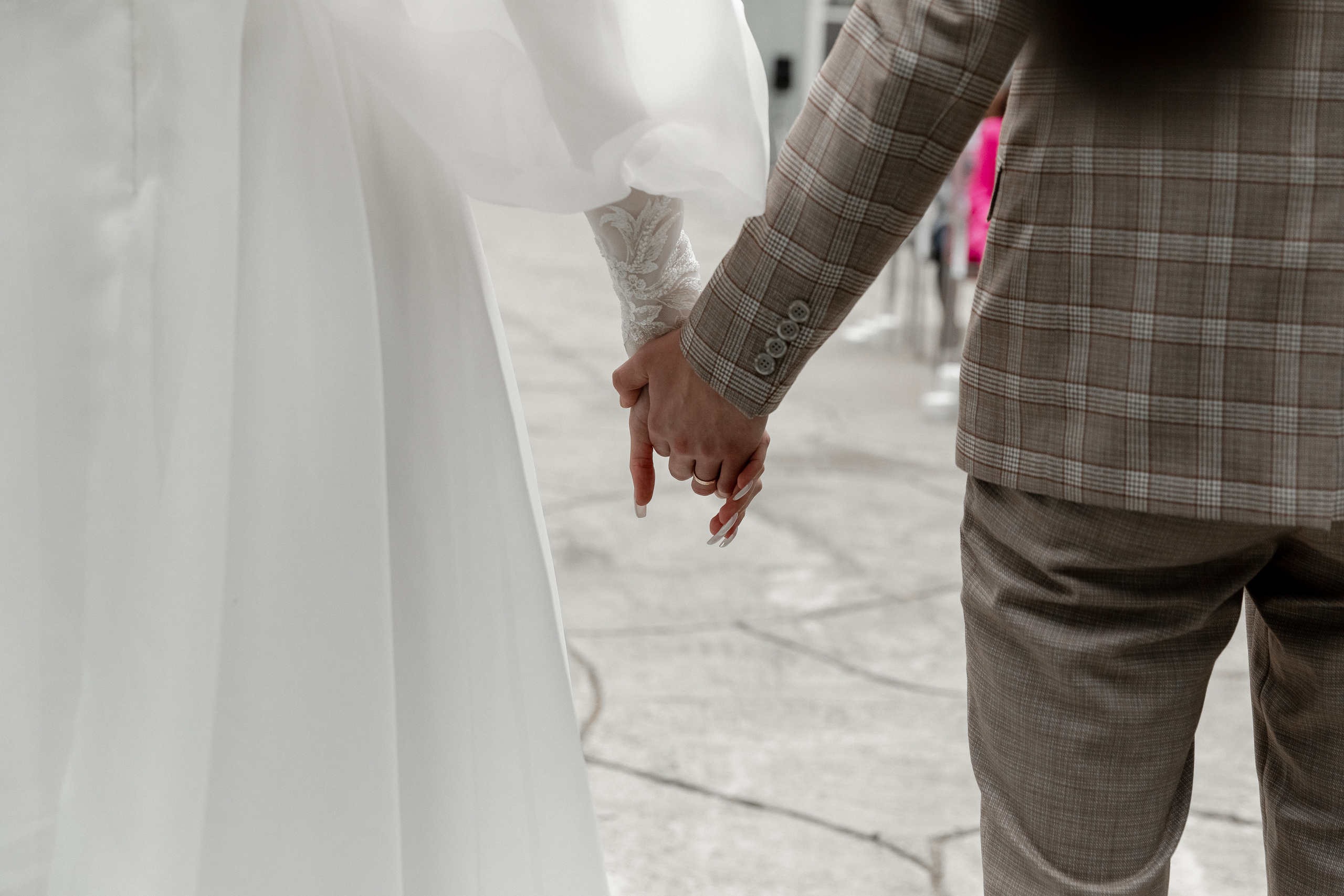 Мопс на торте. Свадебный фотограф Ярославль, Рыбинск