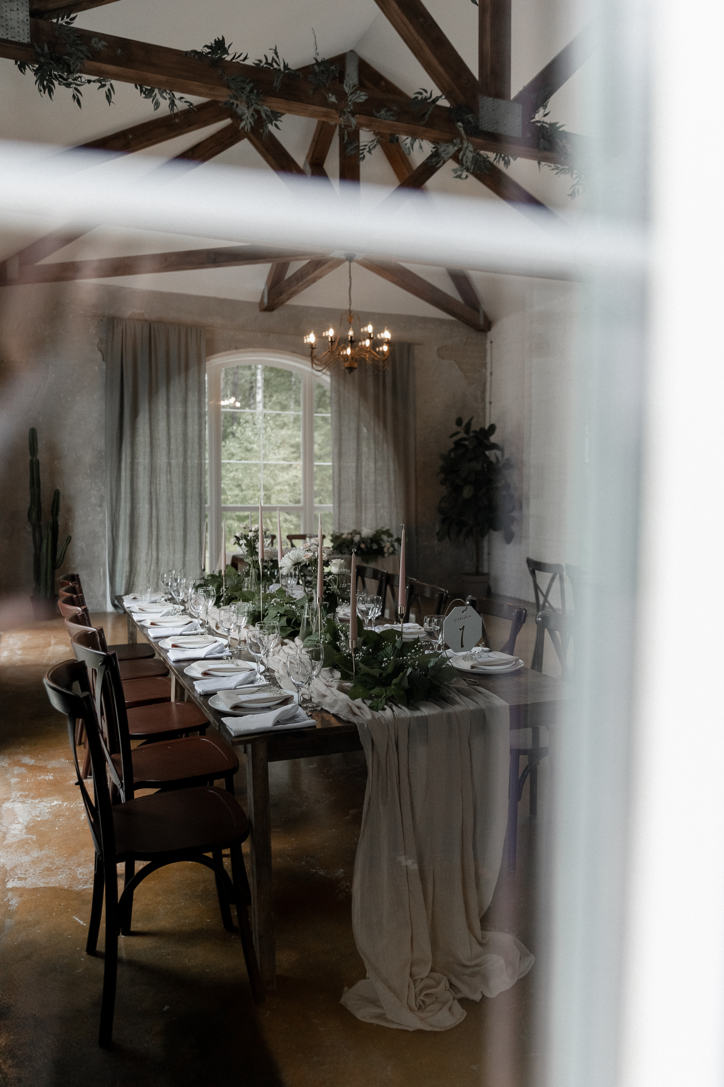 Мопс на торте. Свадебный фотограф Ярославль, Рыбинск