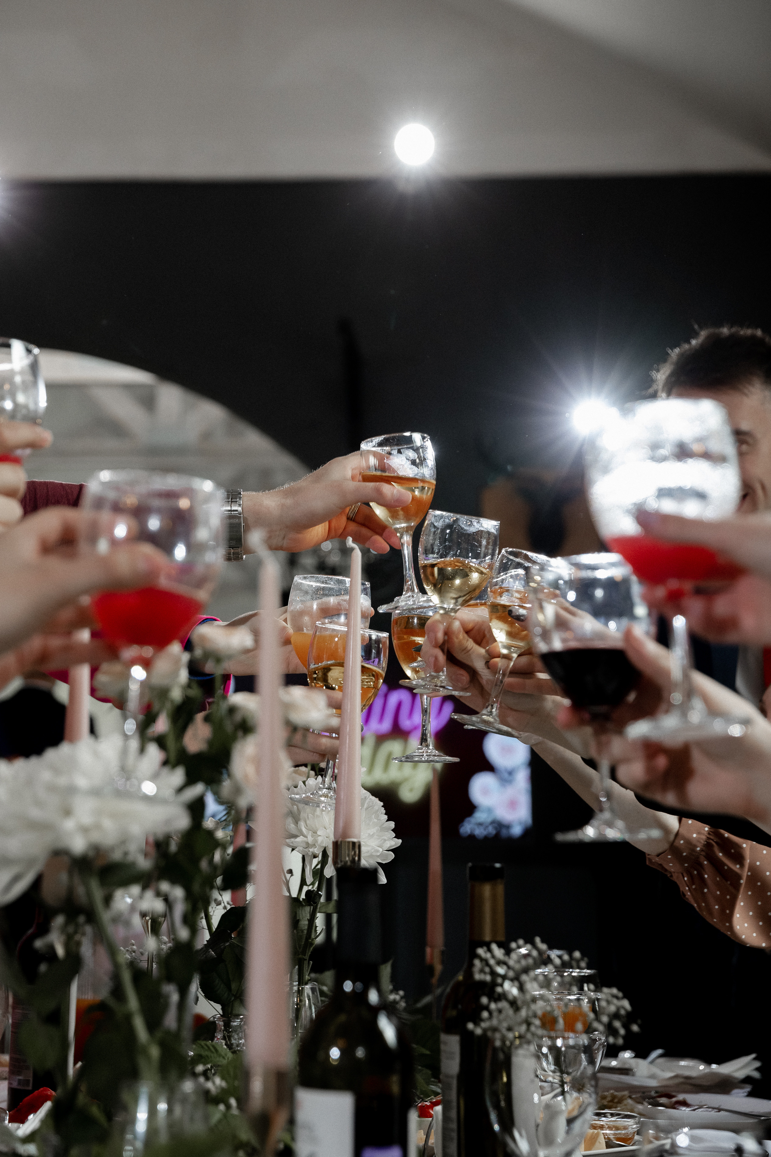 Мопс на торте. Свадебный фотограф Ярославль, Рыбинск