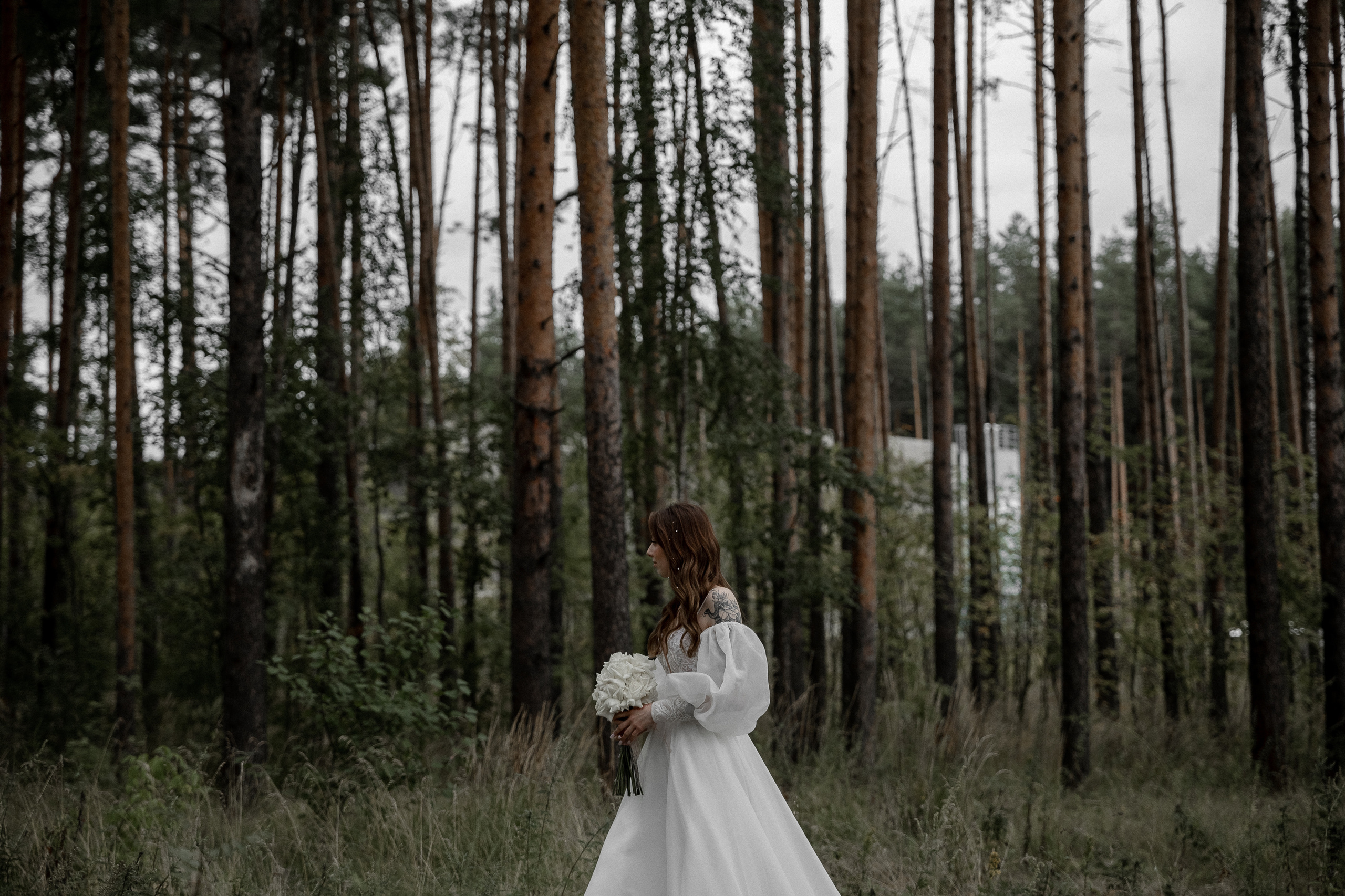 Мопс на торте. Свадебный фотограф Ярославль, Рыбинск