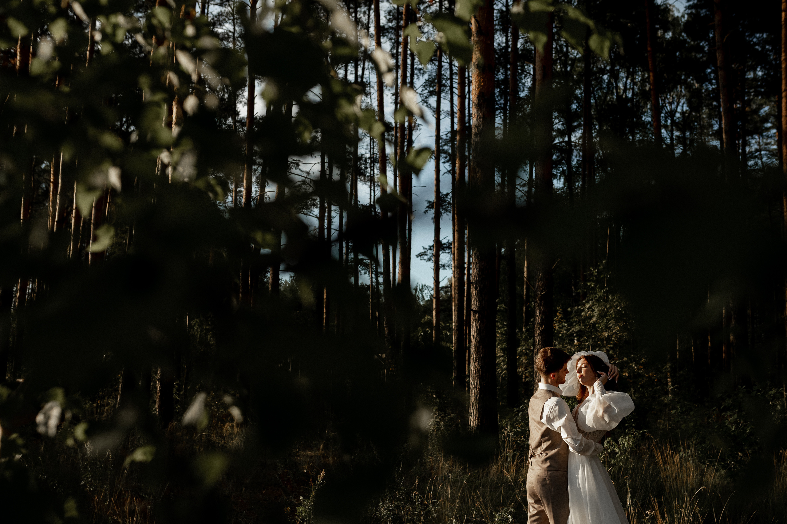 Мопс на торте. Свадебный фотограф Ярославль, Рыбинск
