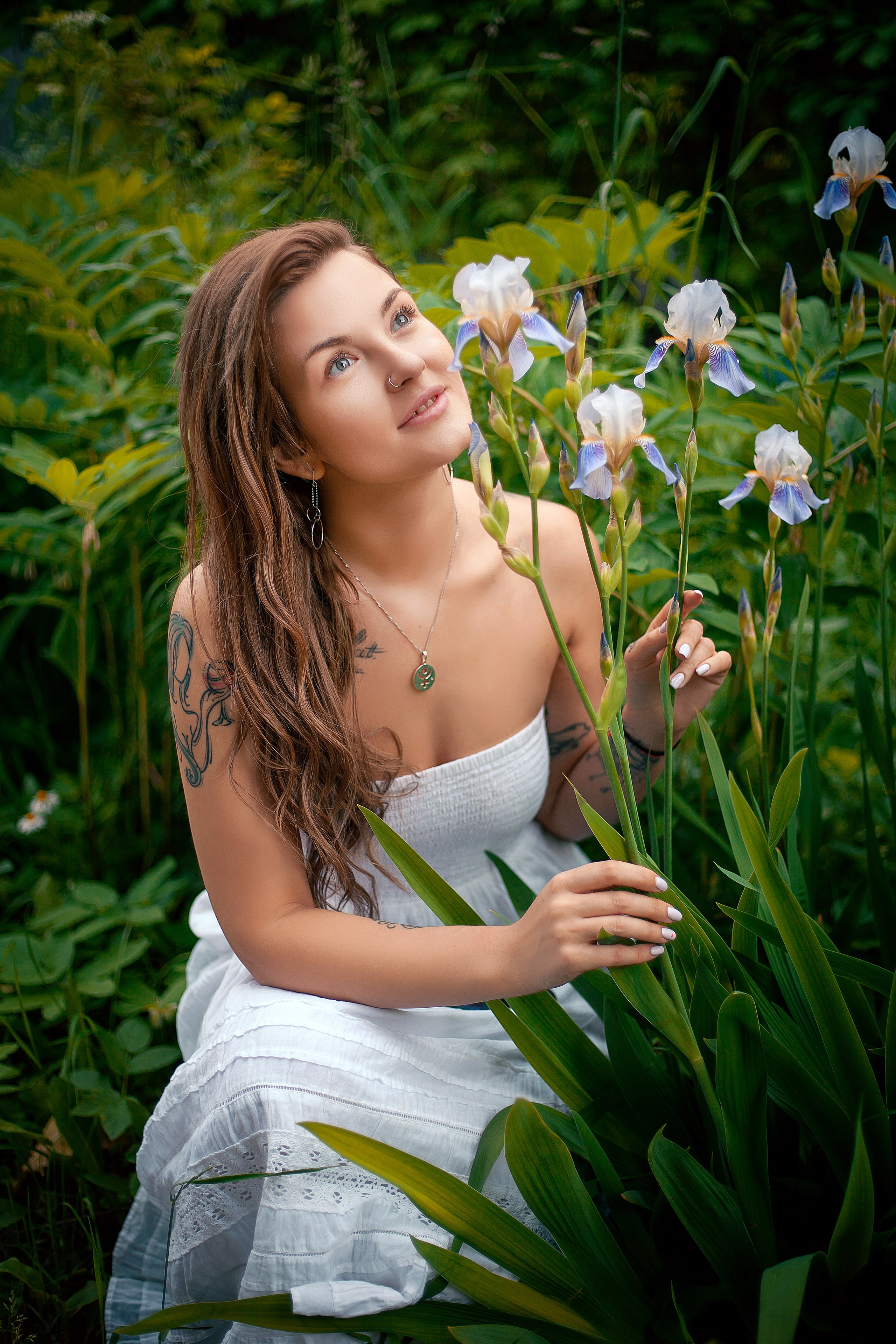 Люпины. Фотограф Мария Кольцова