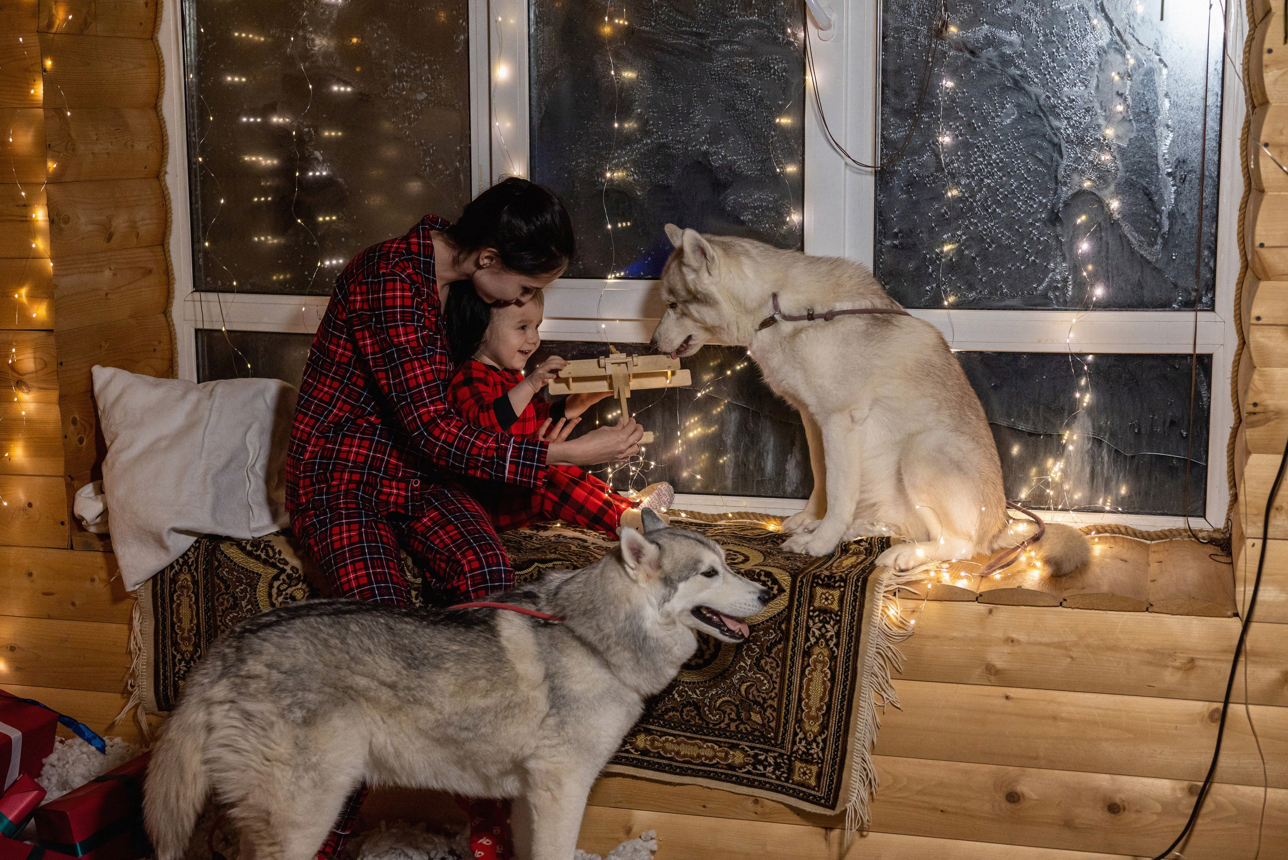 Фотопроект с хаски 2024 г. Фотограф в городе Салават