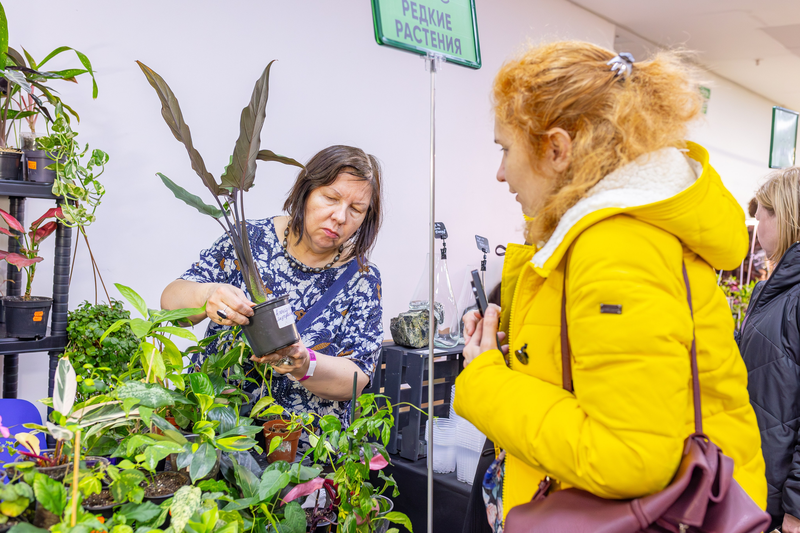 Монстериум апрель 2026. Александра Куликова фотограф, Москва