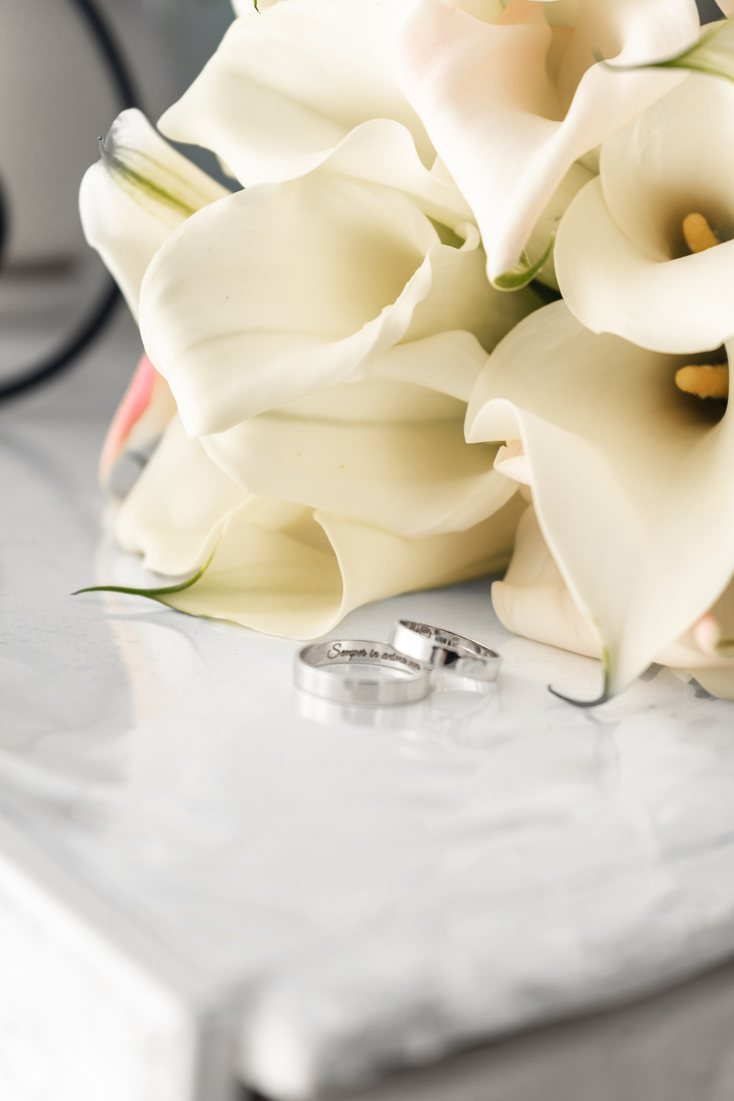 Саша Паша. Семейный и детский фотограф в Новом Уренгое Анна Иванова