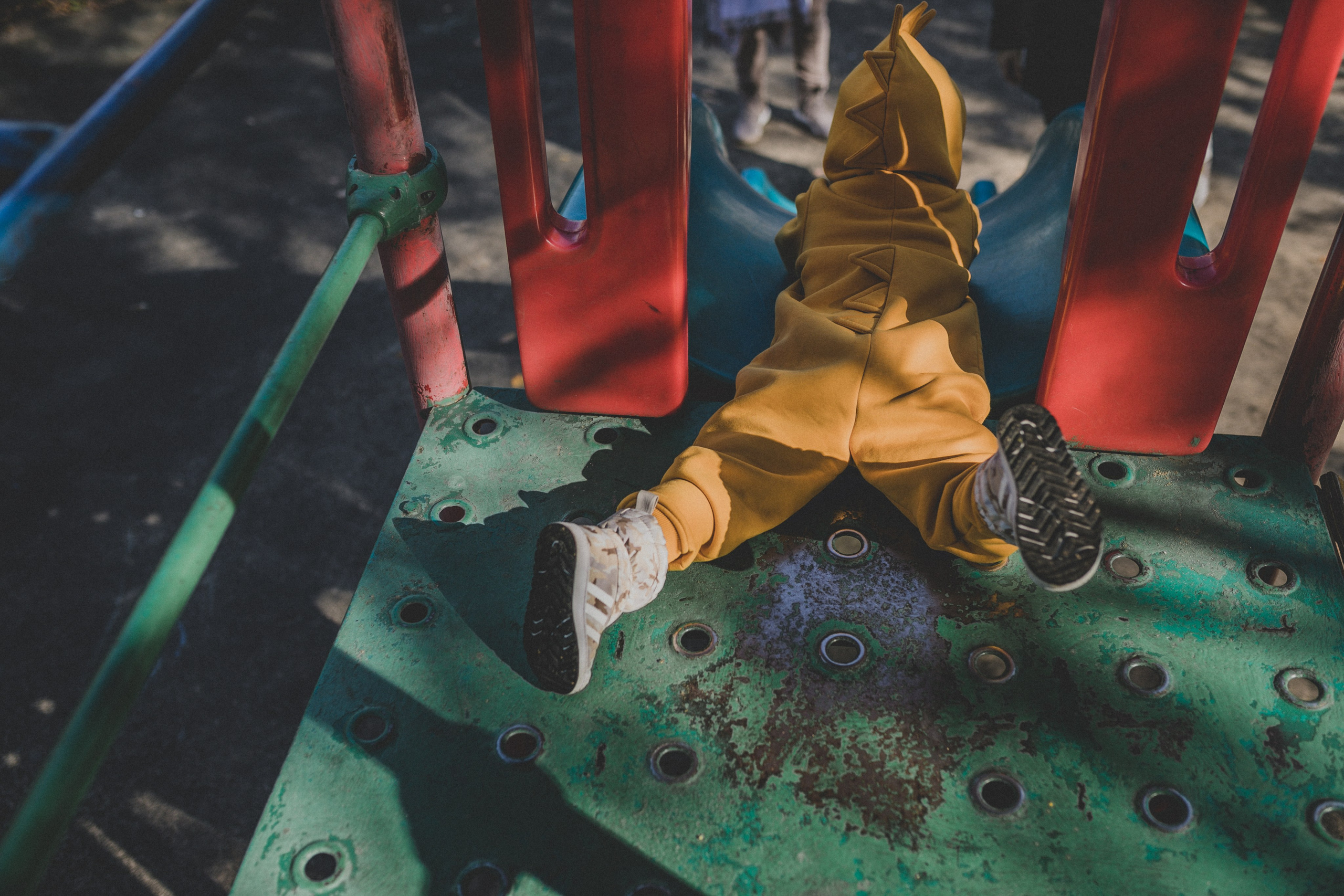 КОГДА ДЕРЕВЬЯ БЫЛИ БОЛЬШИМИ. Фотограф Лебедева Наталья