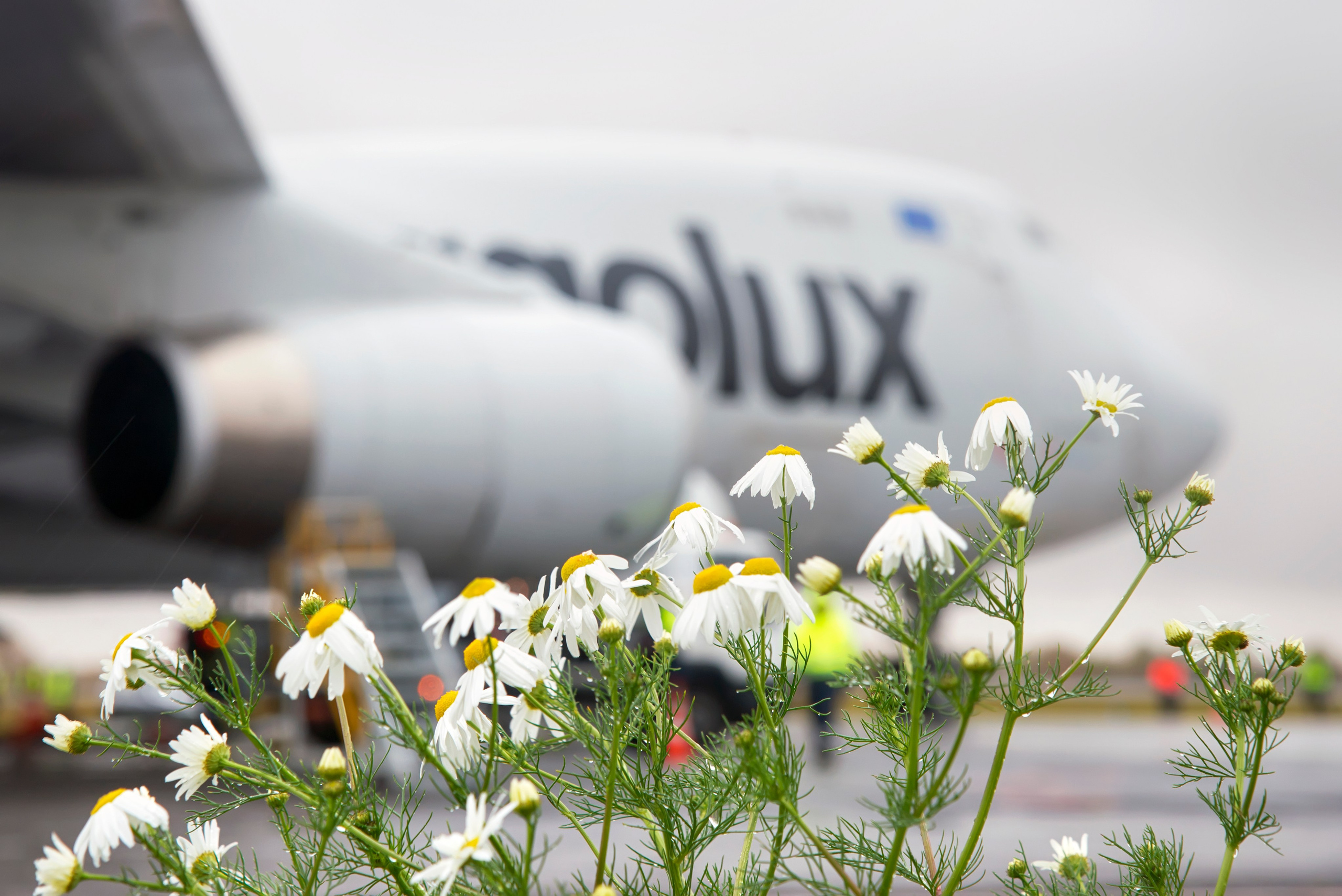 Авиация: самолеты, вертолеты, небесные зарисовки. От прошлого к будущему авиации через фотографию