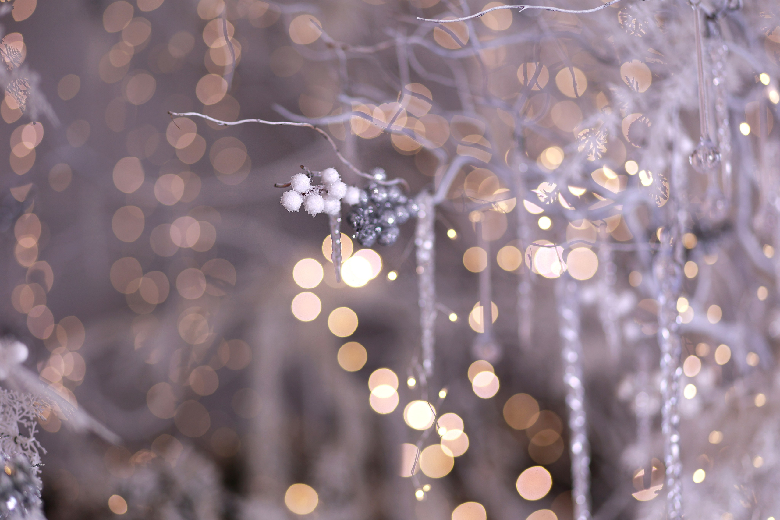 Alice. Детский семейный фотограф Краснодар