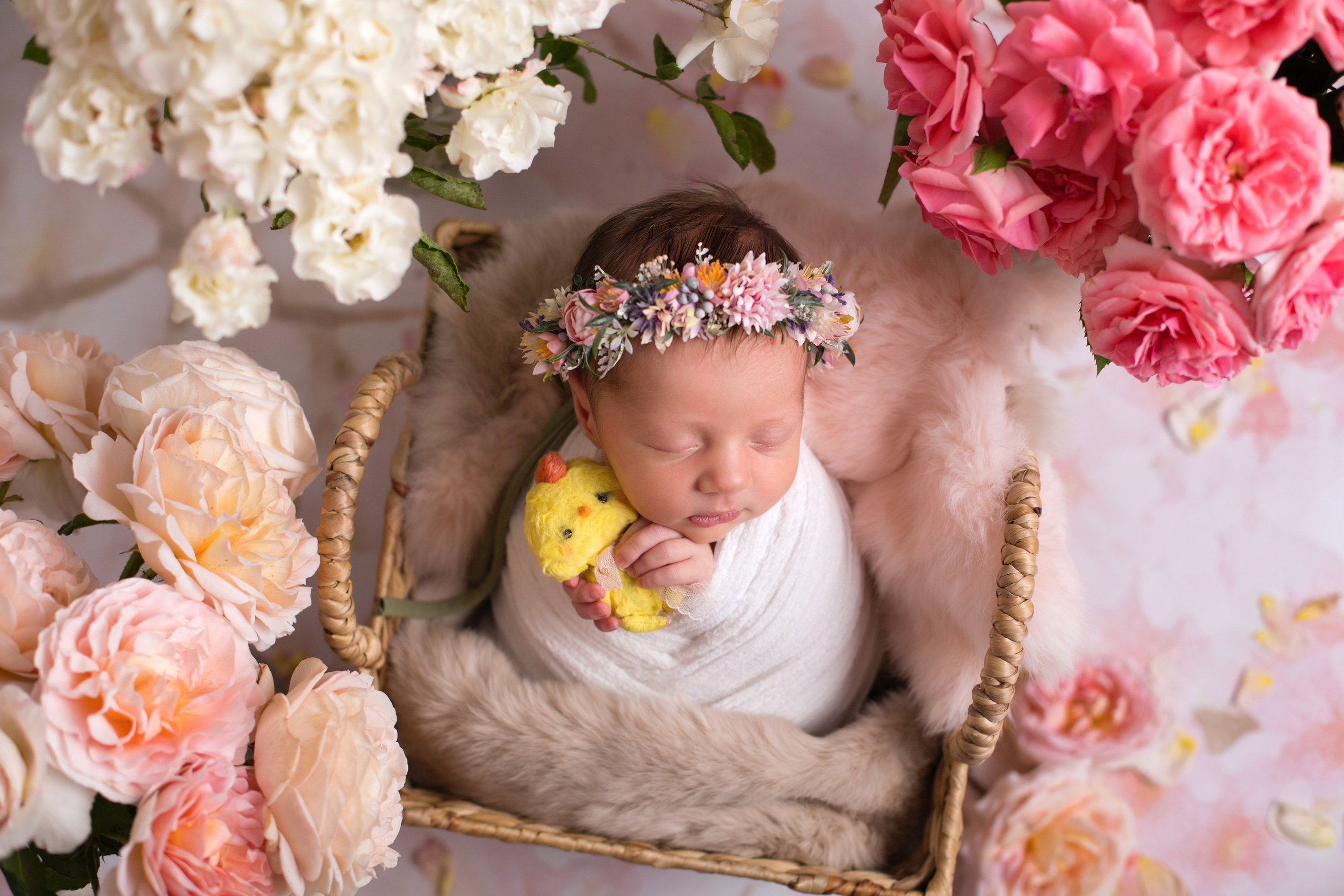 Новорождённые. Детский, семейный фотограф в Новороссийске Алла Околиздаева