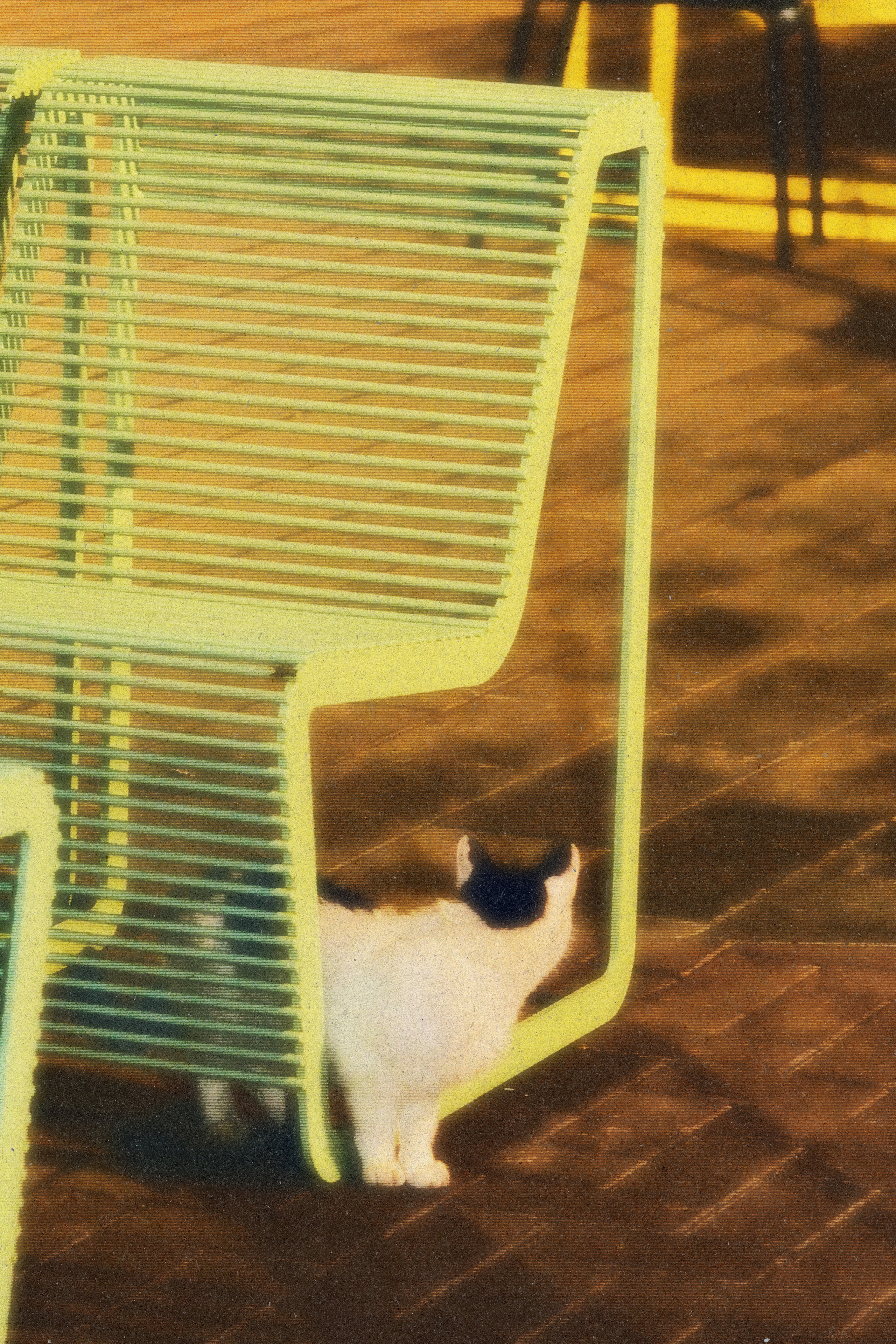 Kate. Vcut studio| Фотограф Валерия Мустаева