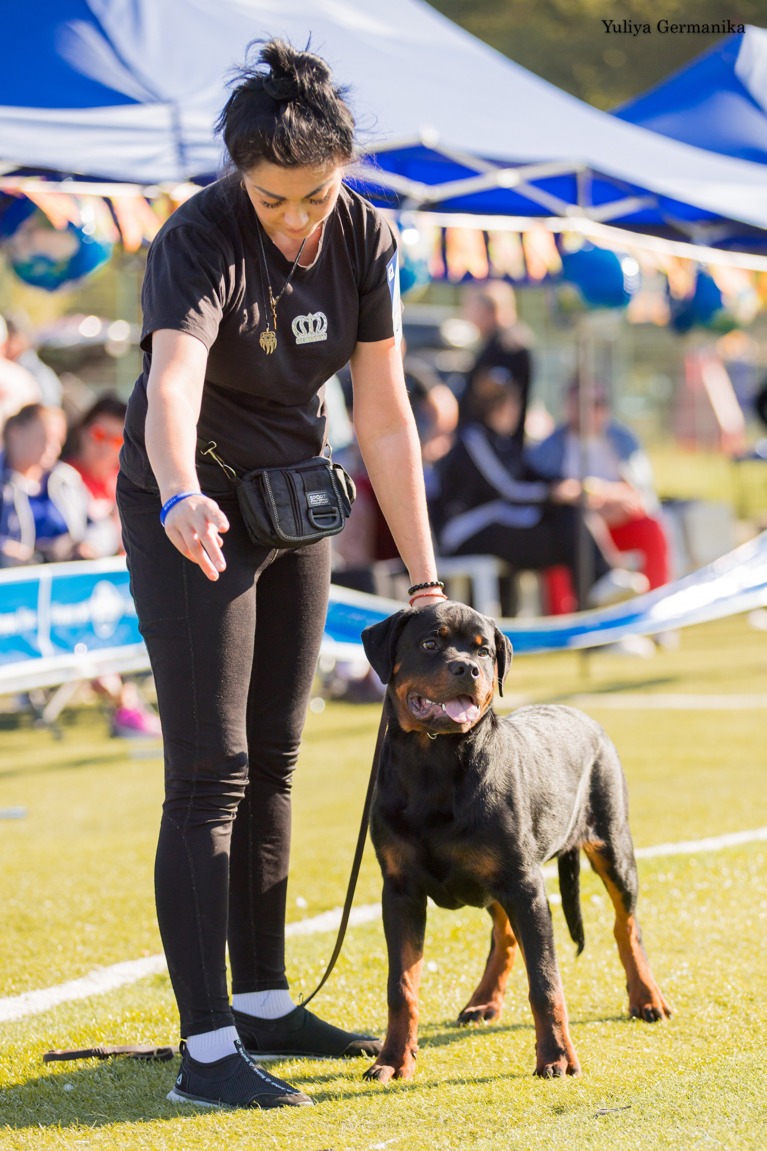Анапа 16-17.09.2023 моно ротвейлеров. Фотограф-анималист Юлия Германика