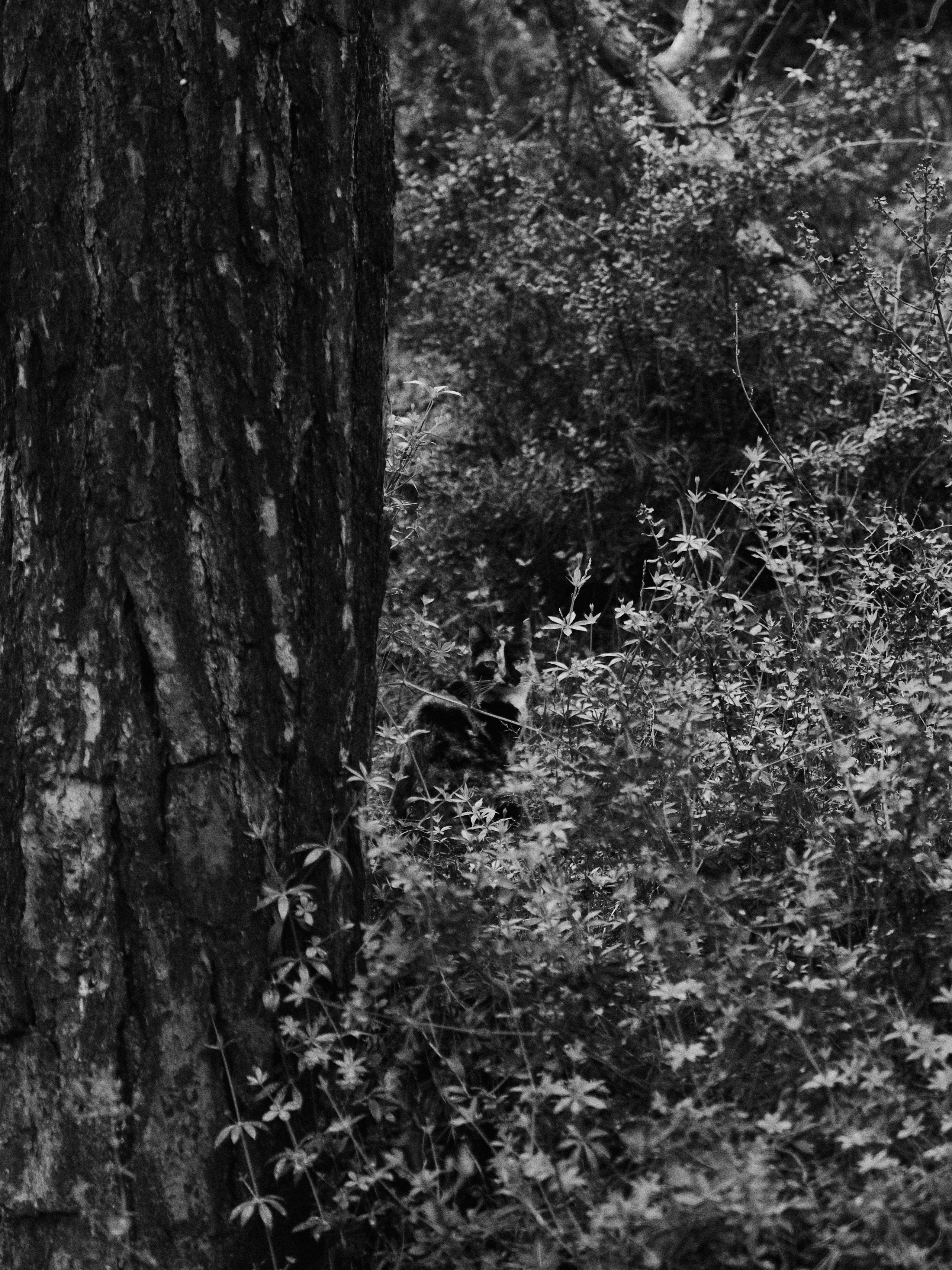 B&W. Jorgis — фотограф в Хургаде / обучение фотографии