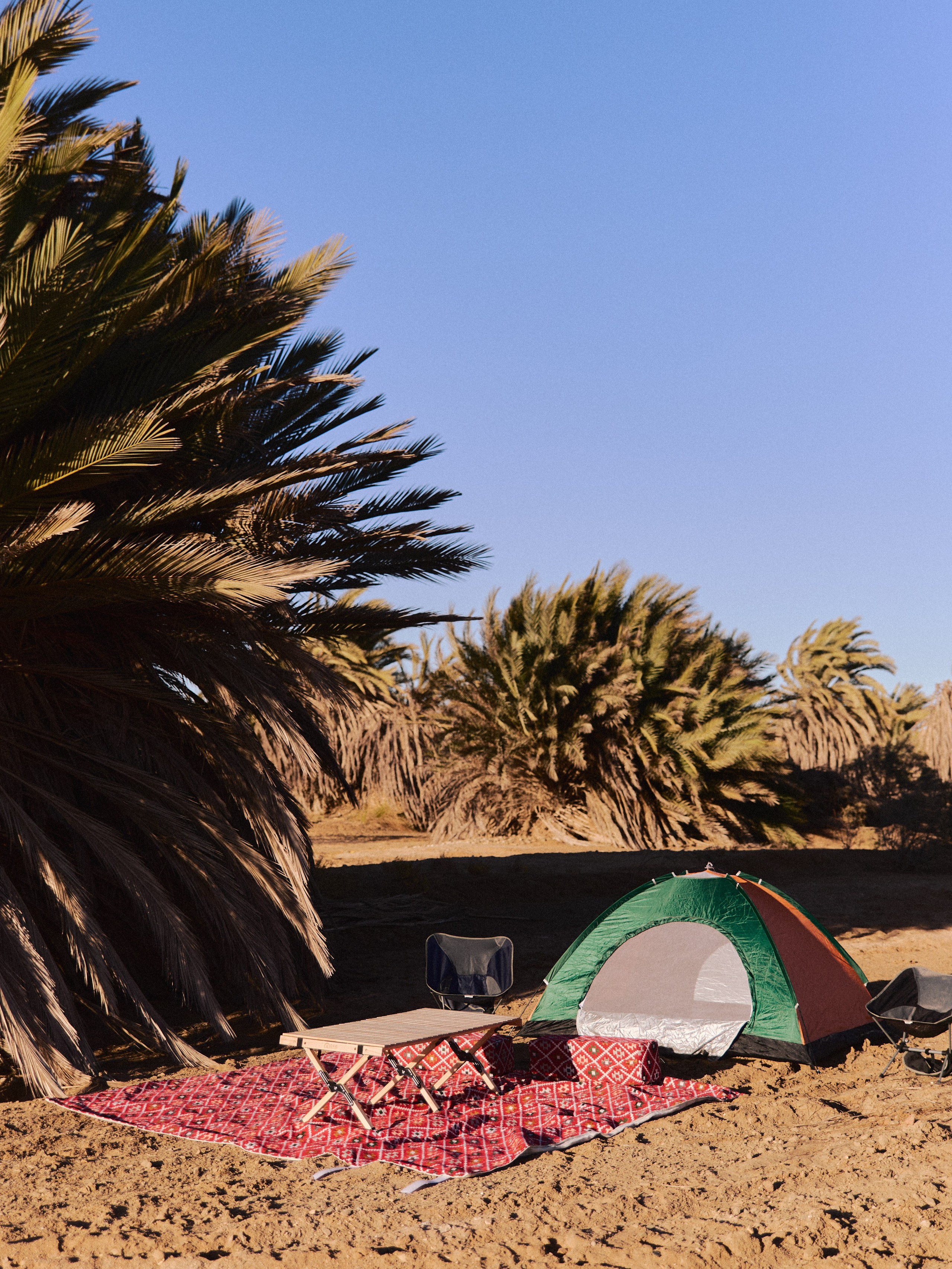 Природа сквозь. Jorgis Talè — photographer, kind person, teacher of arts and other mag