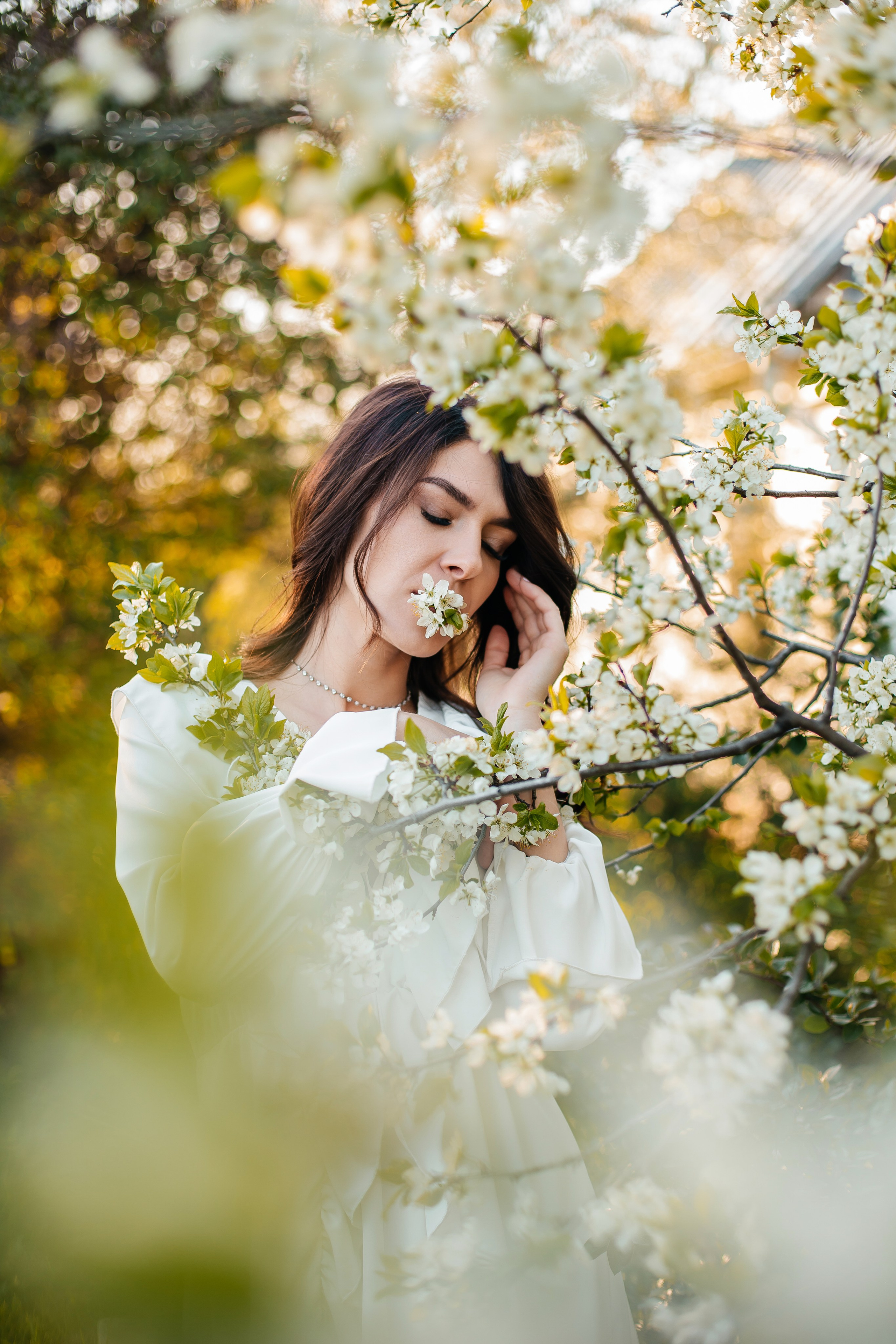 Вишня. Анастасия Давыдова