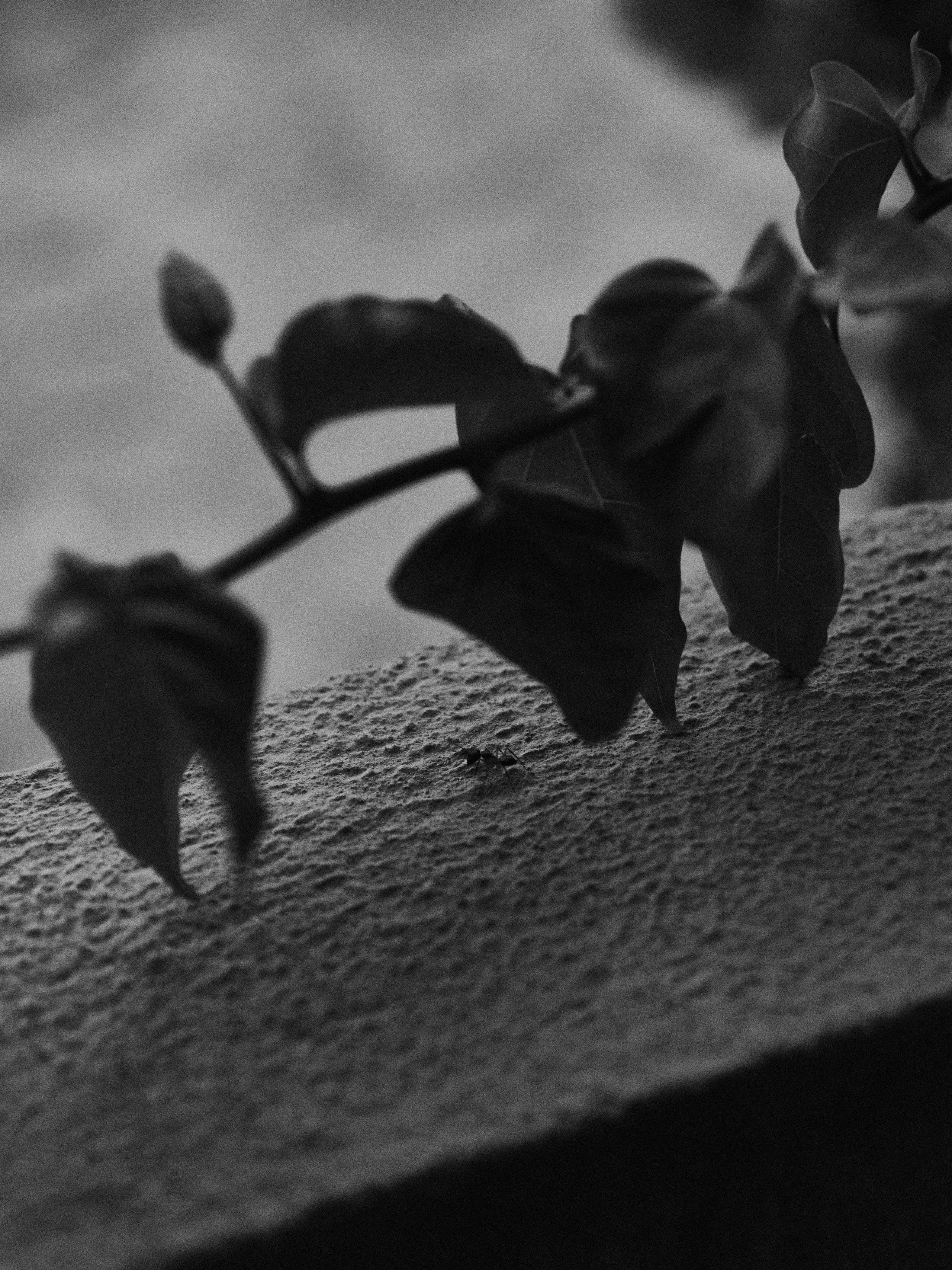 B&W. Jorgis — фотограф в Хургаде / обучение фотографии