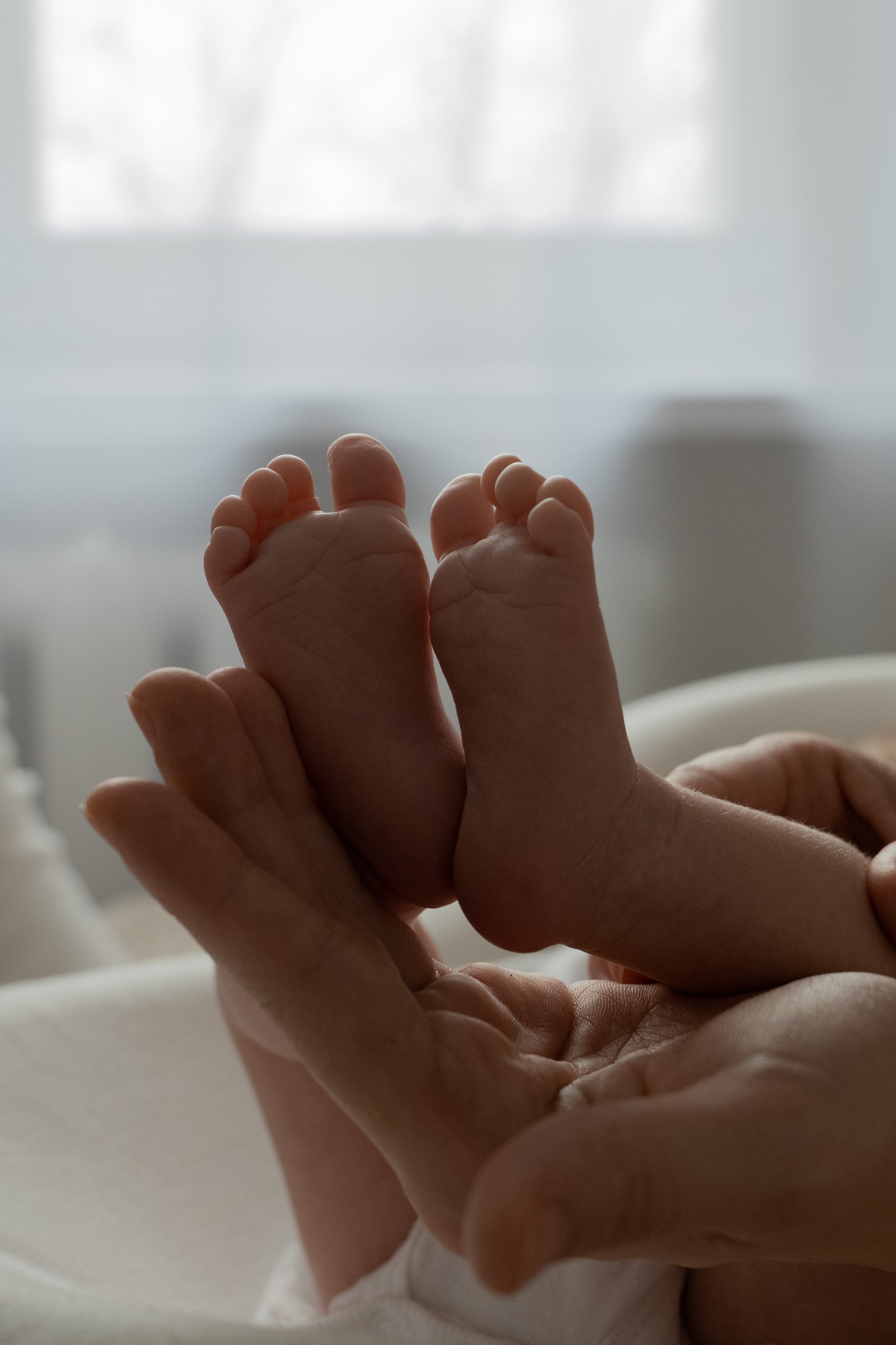 Первые дни жизни Лёшки. Фотограф видеограф Ольга Василевская