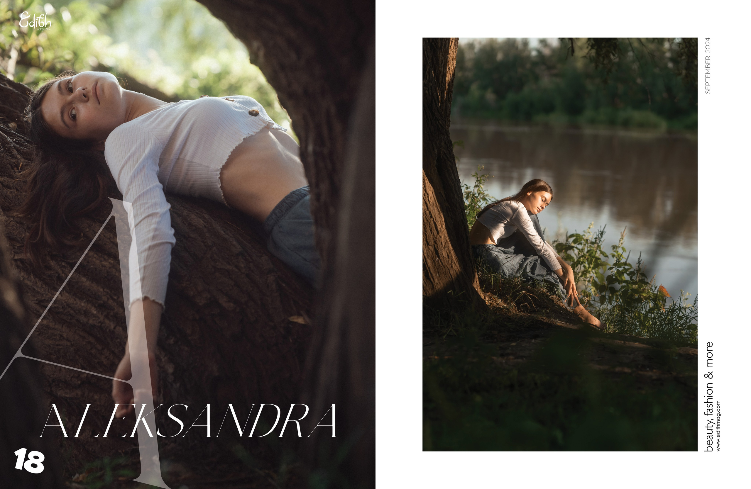 Публикации в журналах