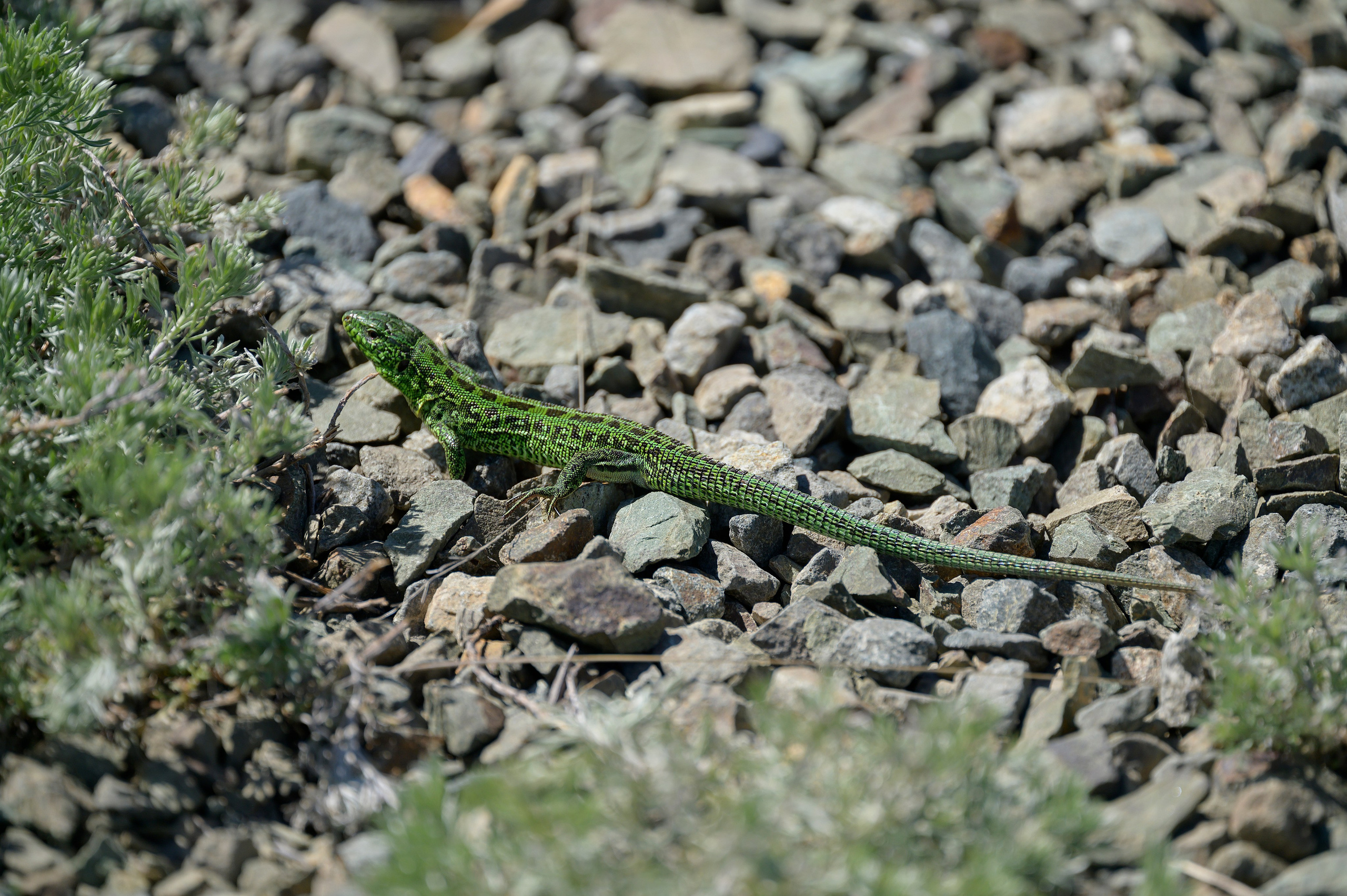 Оренбуржье. Портретный фотограф в Челябинске Катерина Руди