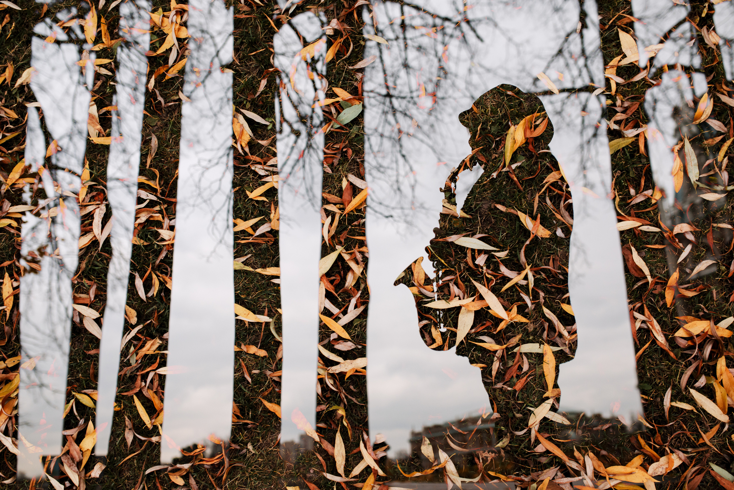Осенний блюз. Фотограф Дмитрий Тур — профессиональная фотосъемка мероприятий и портретов в Москве и Московской области