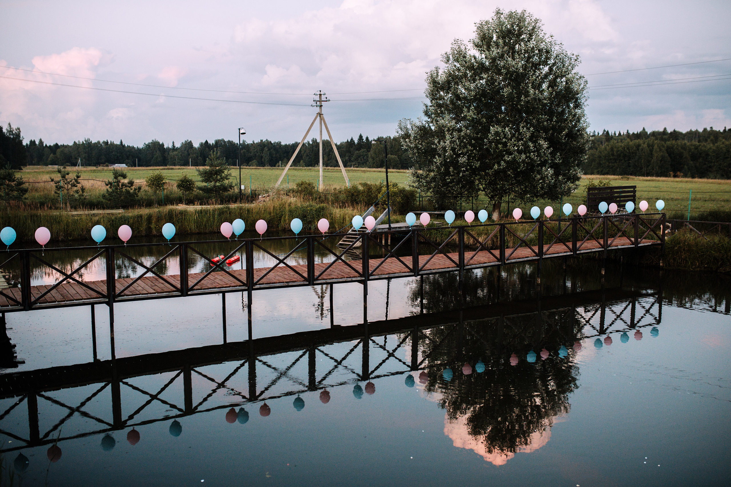 Алиса и Антон. Фотограф Дмитрий Тур — профессиональная фотосъемка мероприятий и портретов в Москве и Московской области