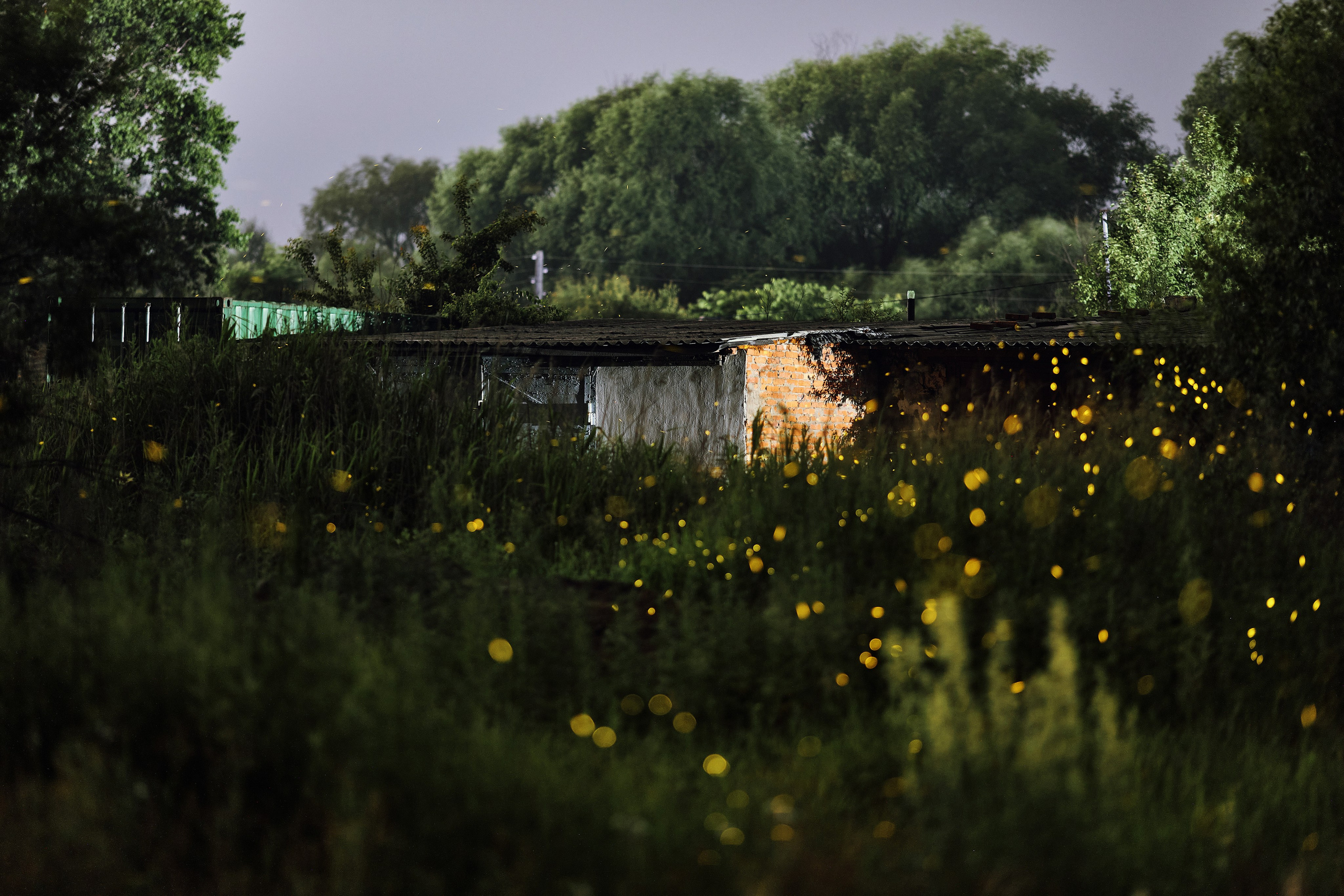 Как выглядят летающие светлячки? Пример вы можете увидеть на фото