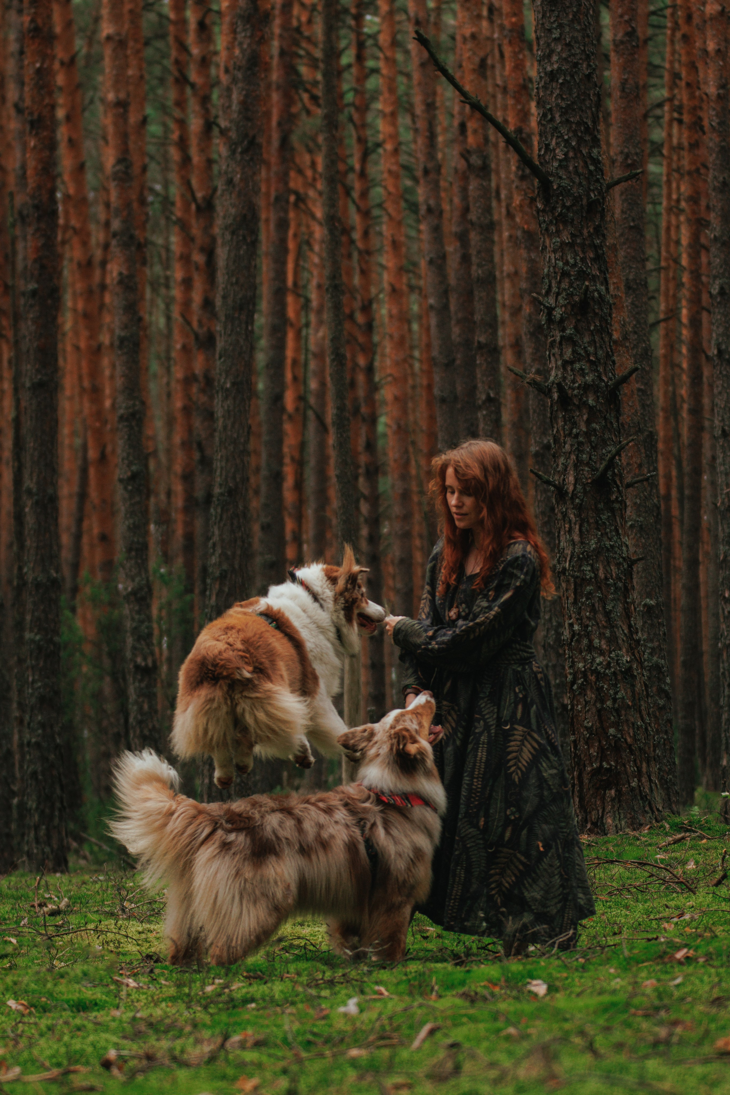 Волшебный лес с Тасей, Морошкой и Брусникой. Стас Соболь, фотограф анималист, репортажник, Москва