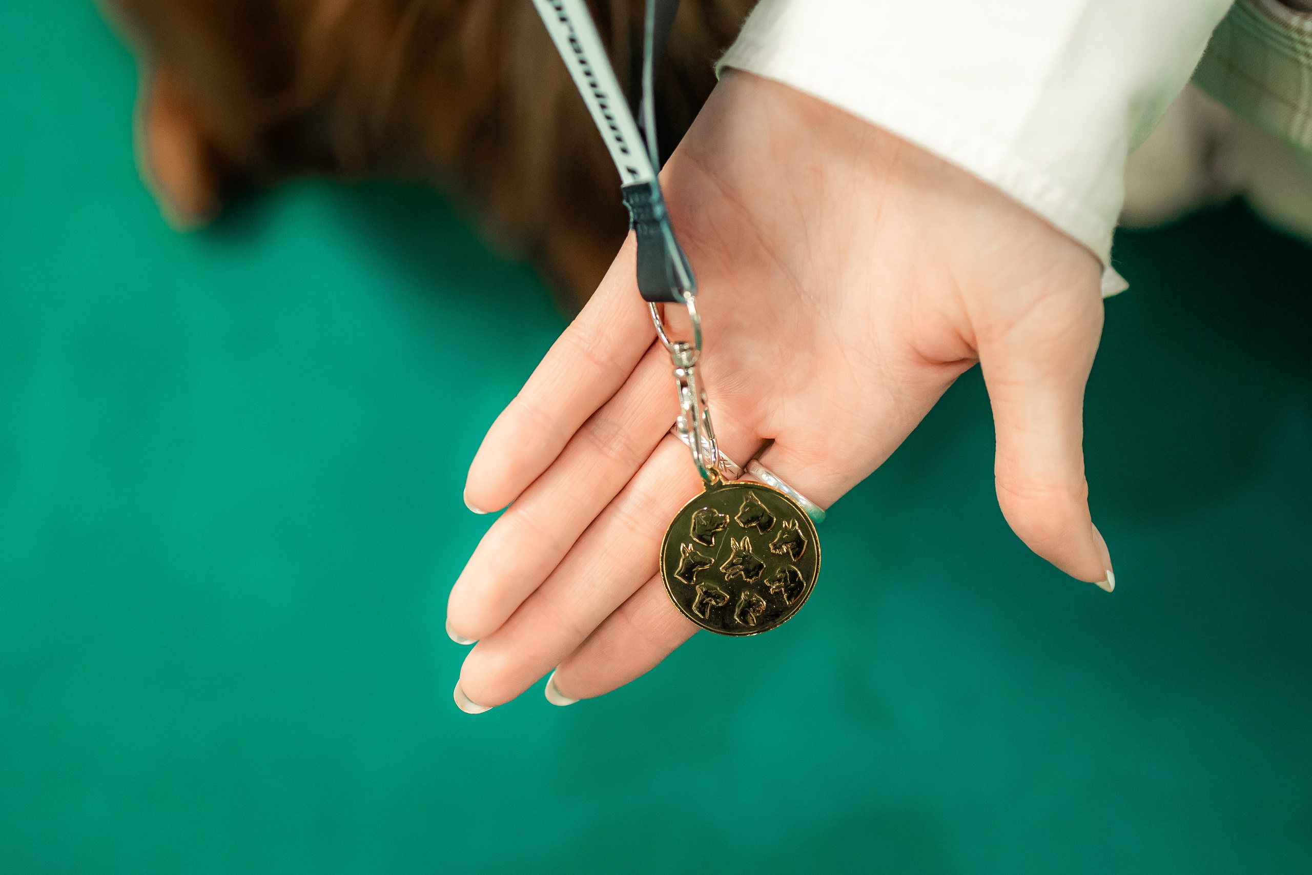 Выставка сеттеров 19.05.24