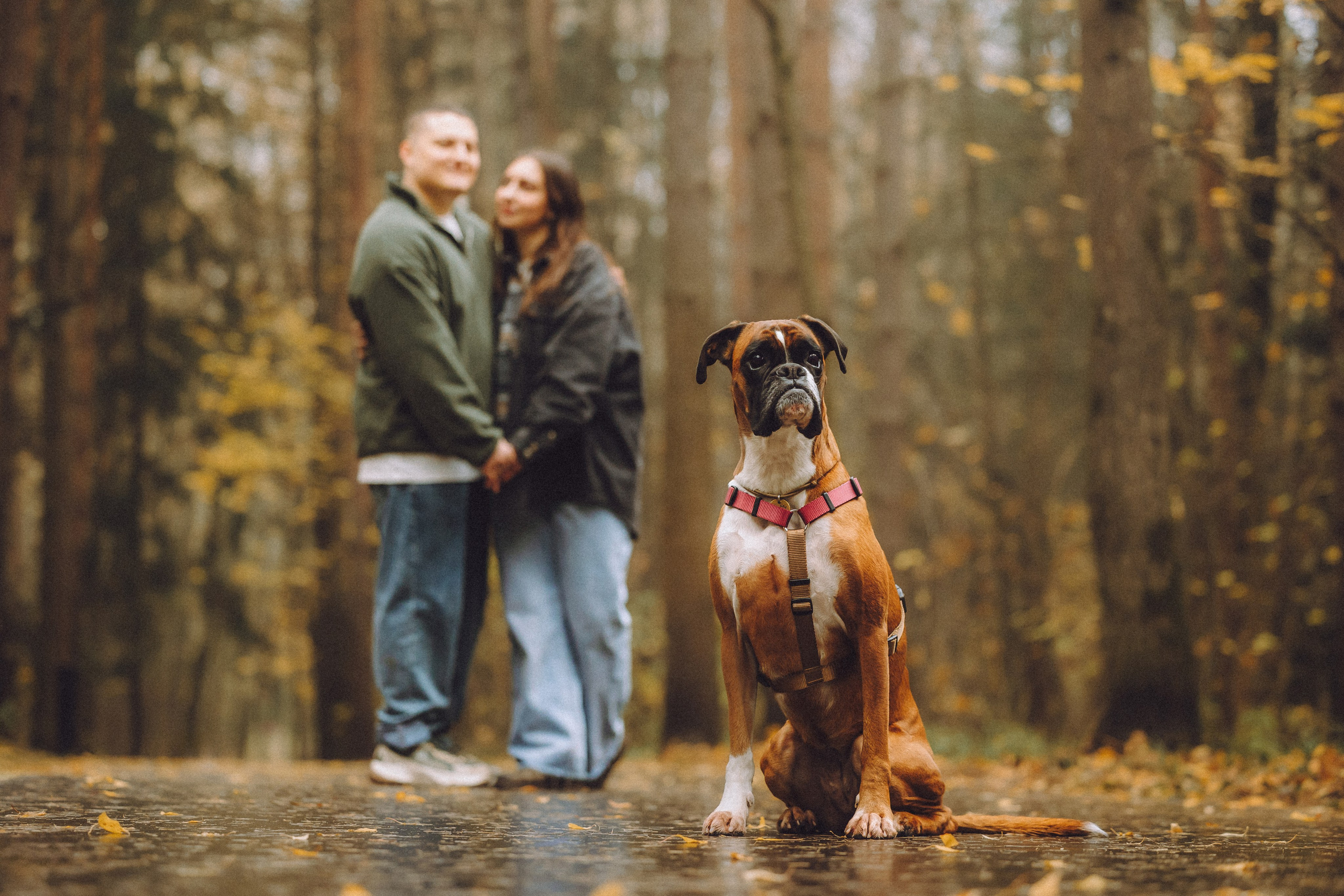 Элли и ее семья