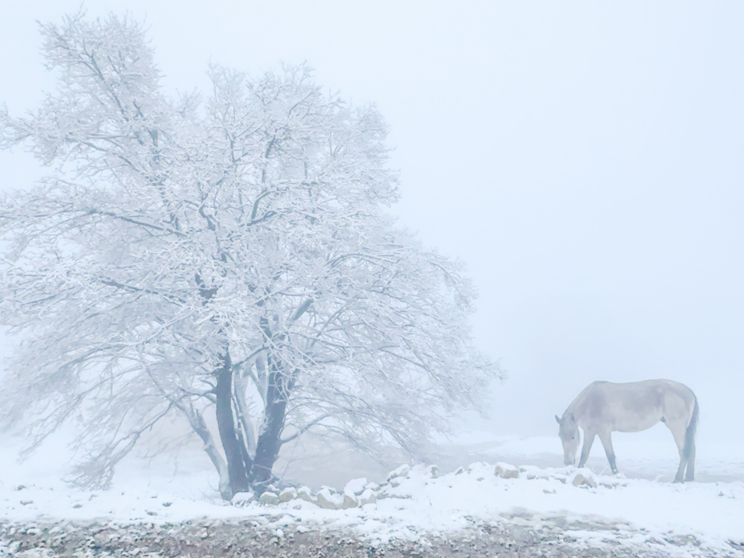 Заметки. Колесникова Мария Арт-фотограф