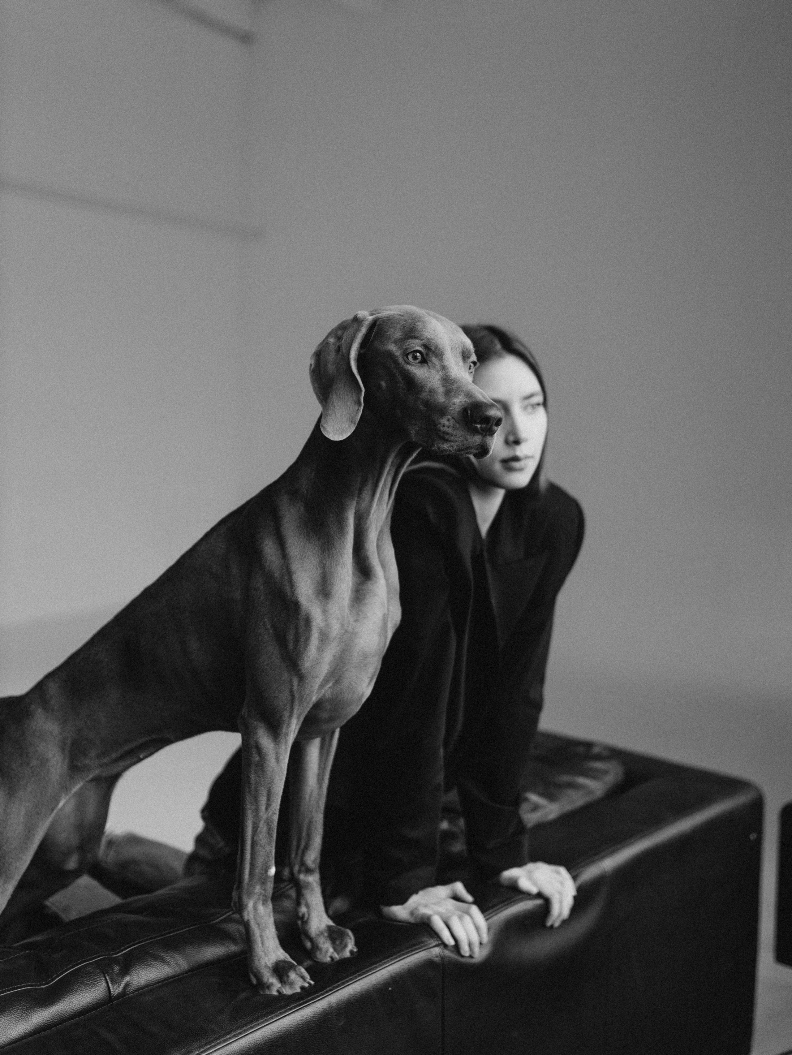 Сенча и Даша. Фотограф-анималист в Москве Кириллова Татьяна