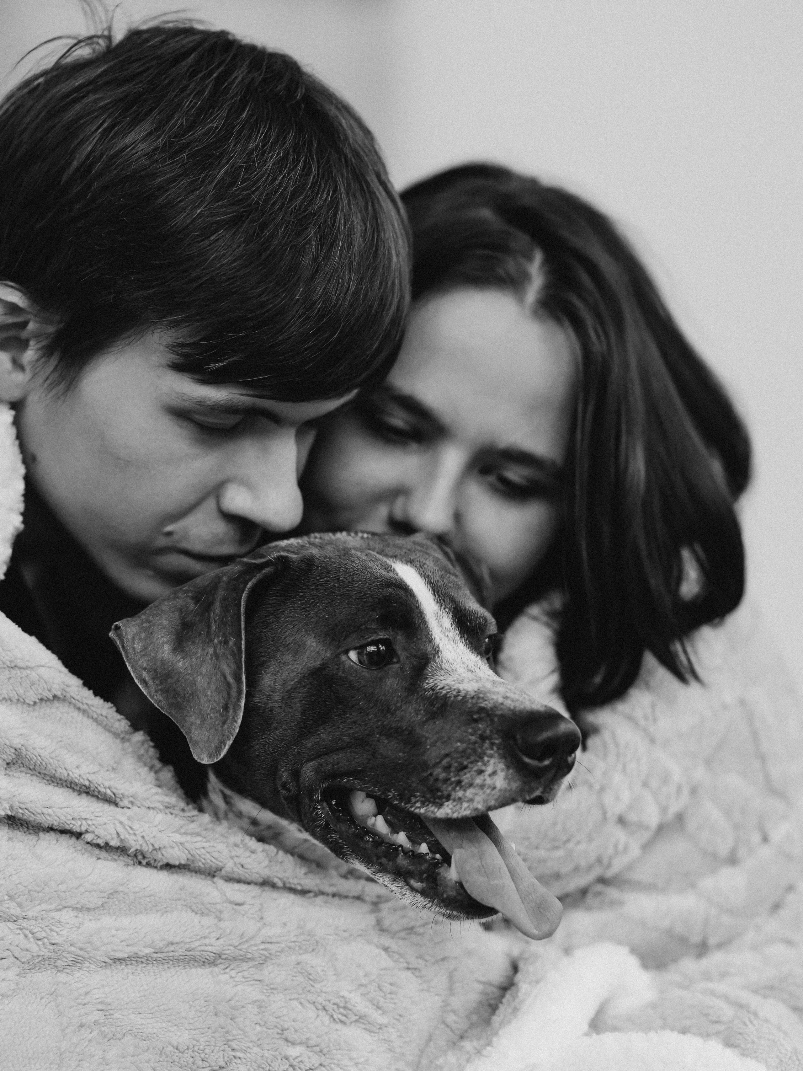 Тортик Даша и Никита. Фотограф-анималист в Москве Кириллова Татьяна