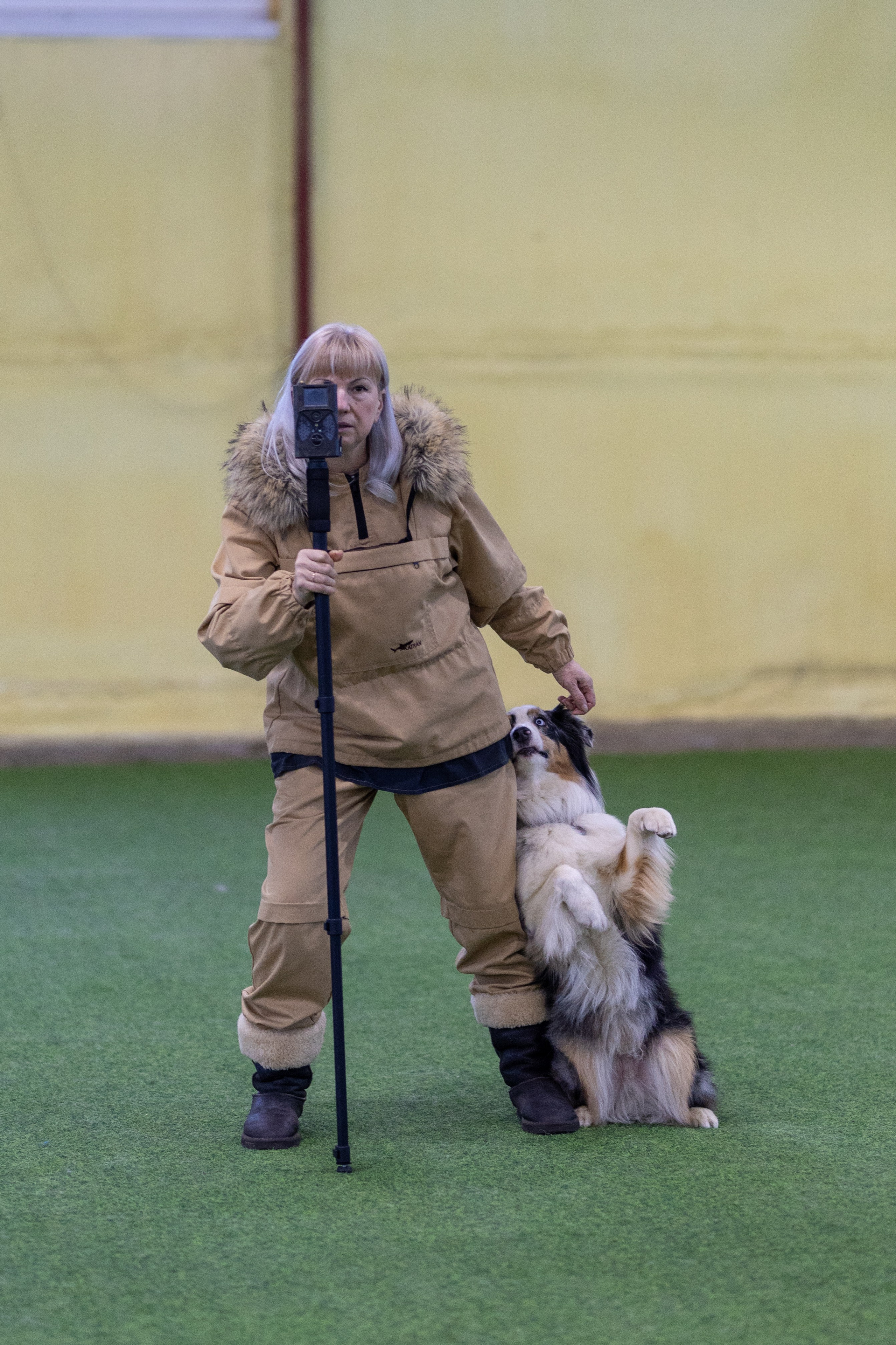 Соревнования танцы. Фотограф-анималист в Москве Кириллова Татьяна