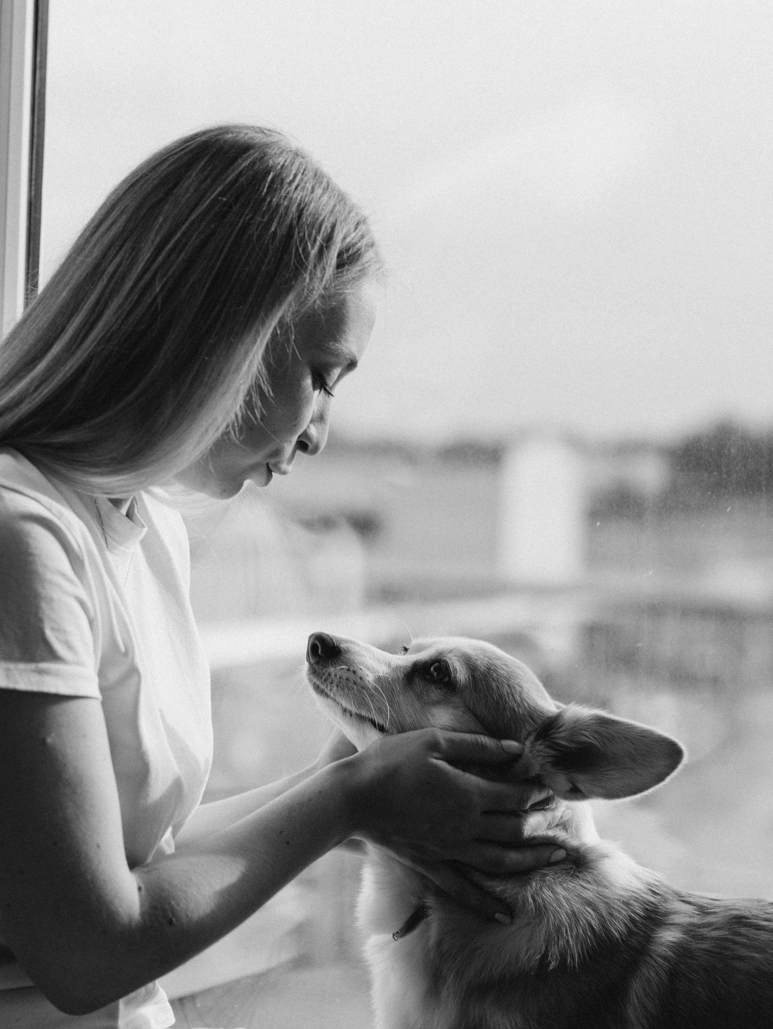 Оливка и Ника. Фотограф-анималист в Москве Кириллова Татьяна