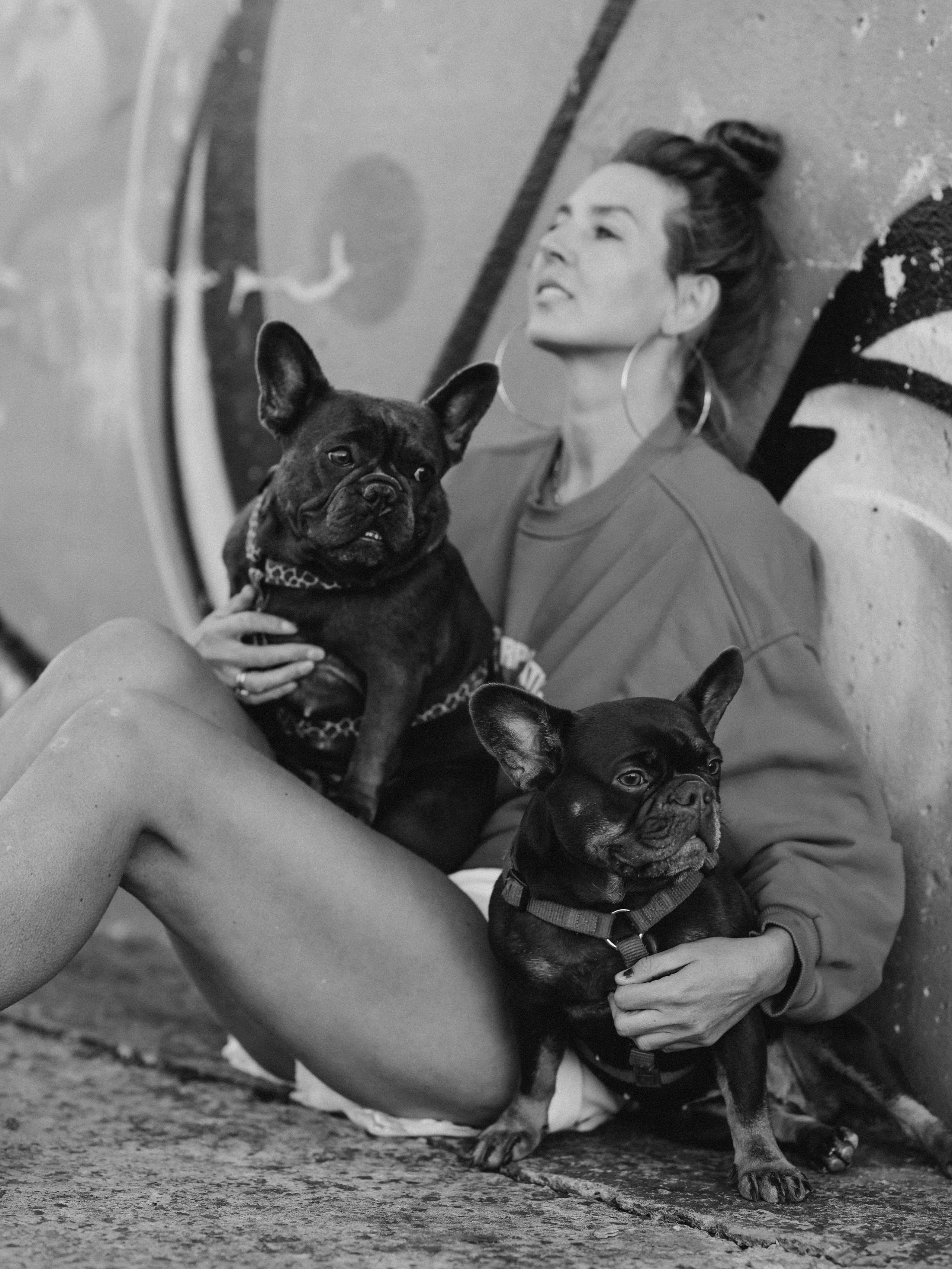 Белла, Луна и Нелли. Фотограф-анималист в Москве Кириллова Татьяна