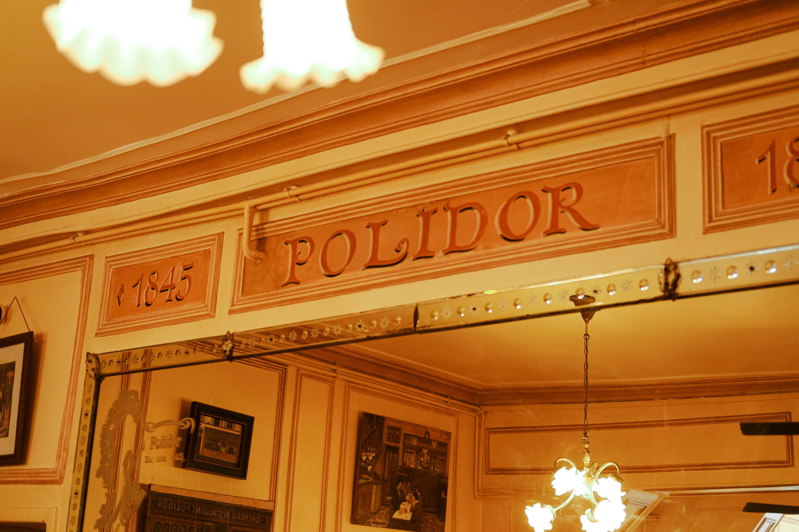 Polidor. Главная