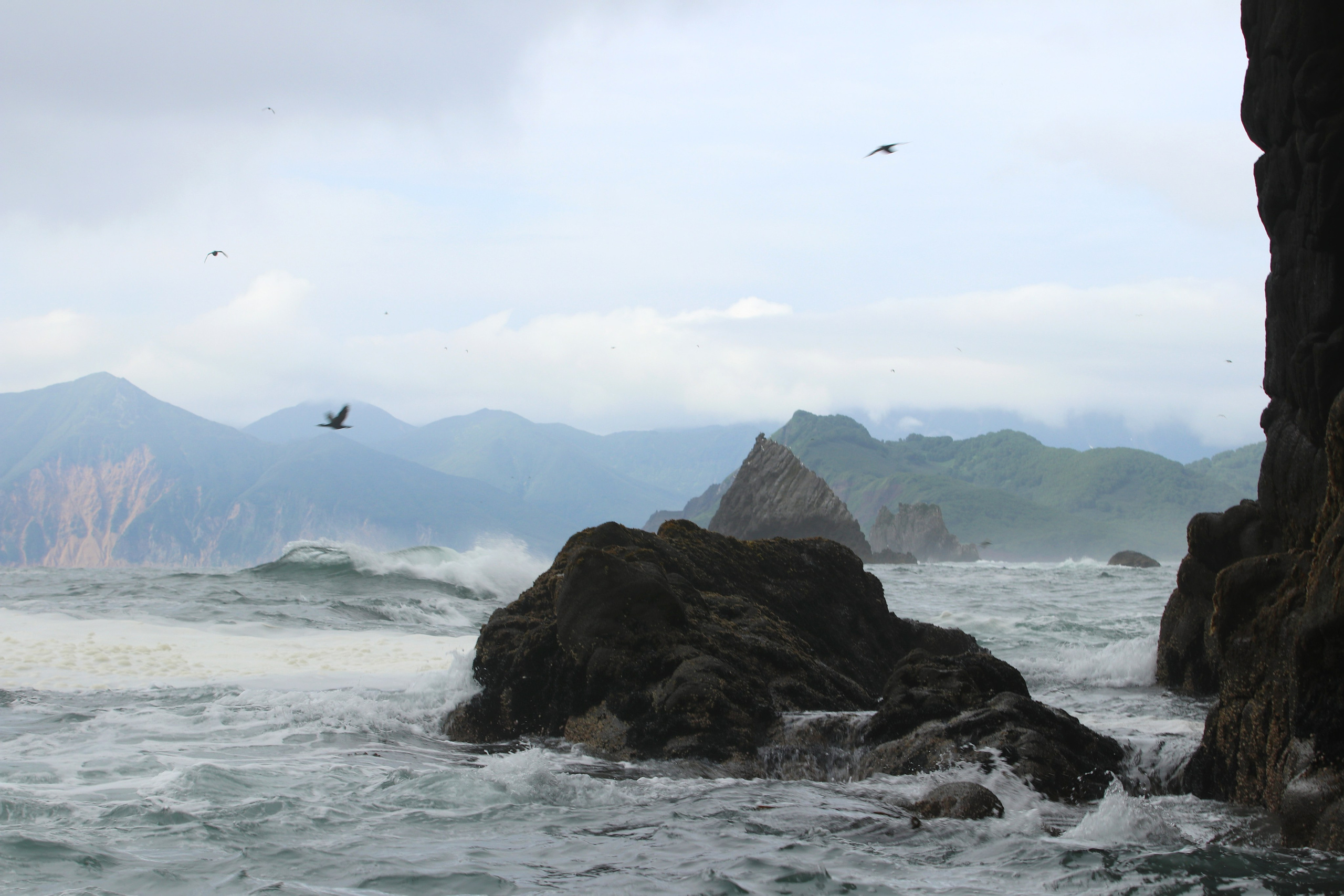 Камчатка и о. Парамушир. Июль 2024. Путешественник-фотограф из Санкт-Петербурга Татьяна Свистулина