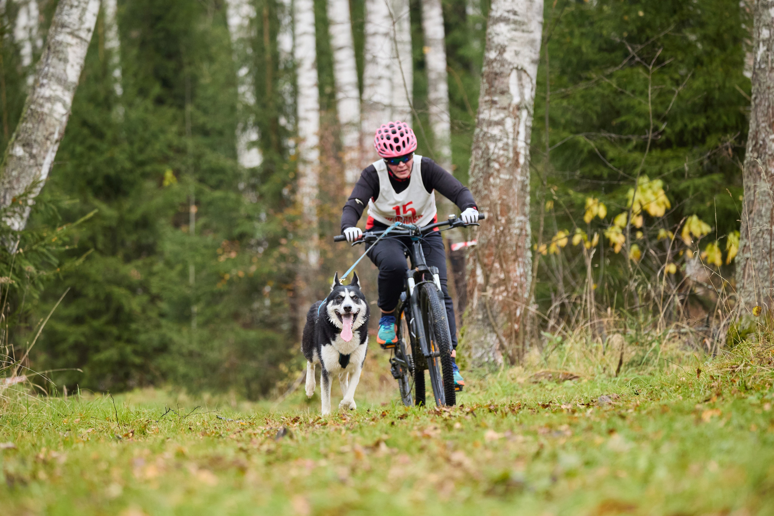 Чемпионат по ЕС Ярославской области. Фотограф Ирина Астор