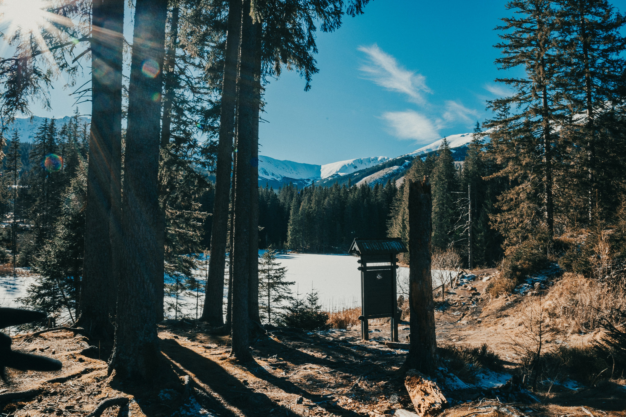 Лыжи 2025. Фотограф Владислав Воронович