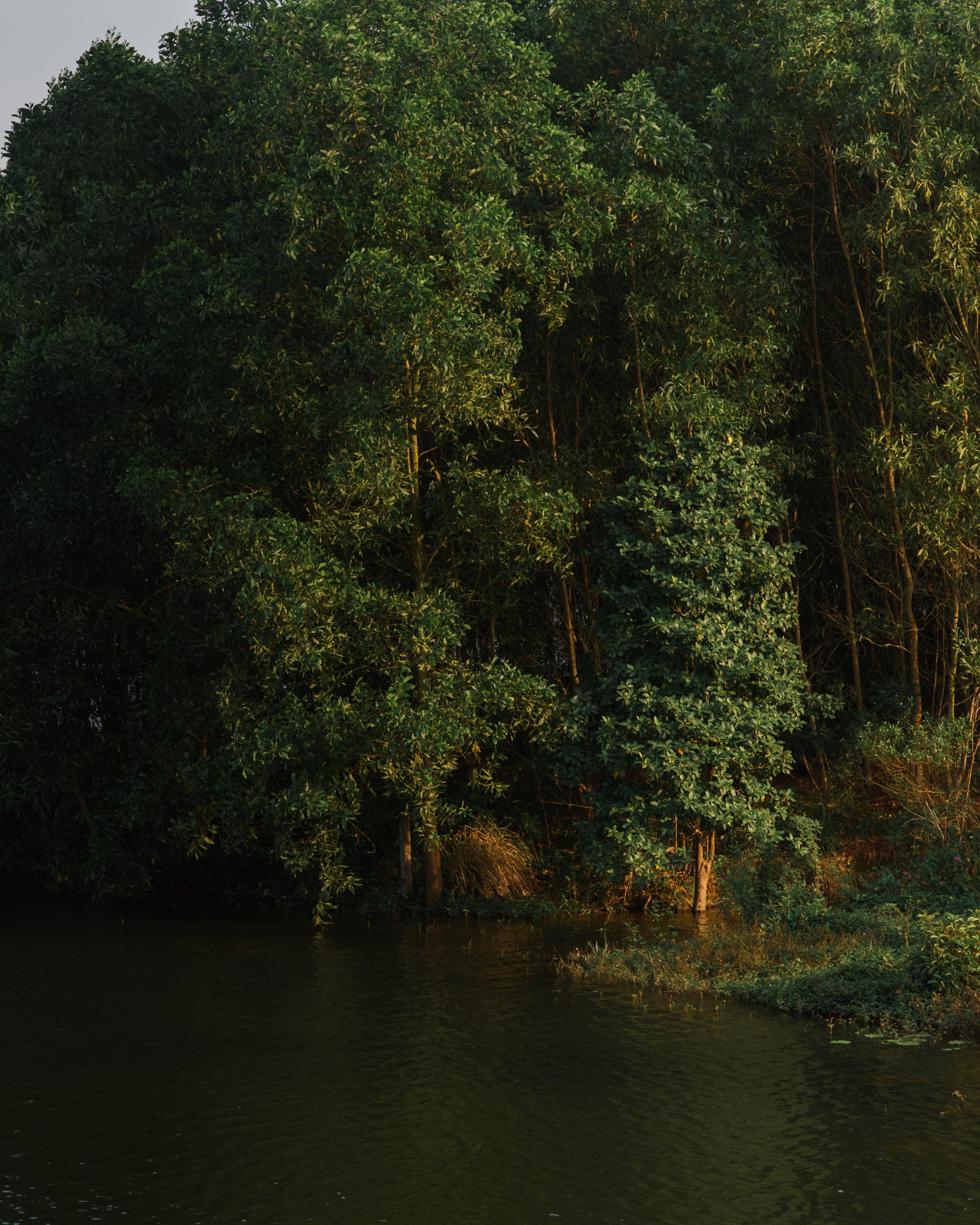 Other. Orunek photo (portrait photographer in Da Nang)