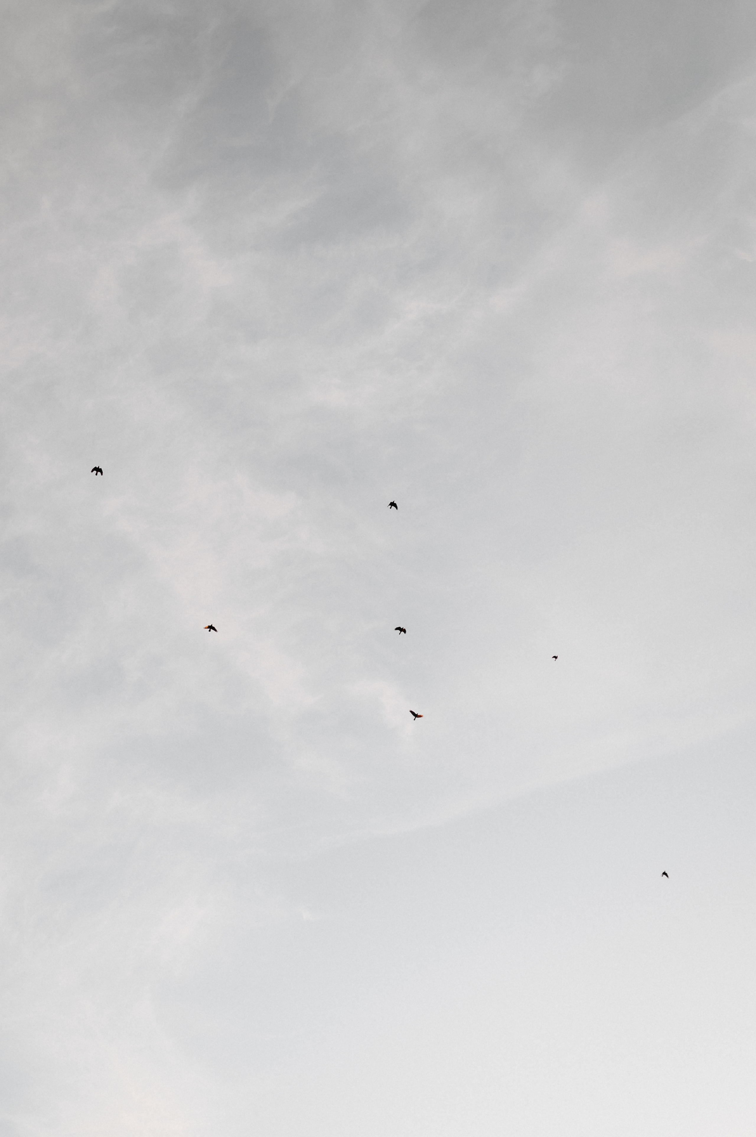 На пляже в Ленинском. Главная