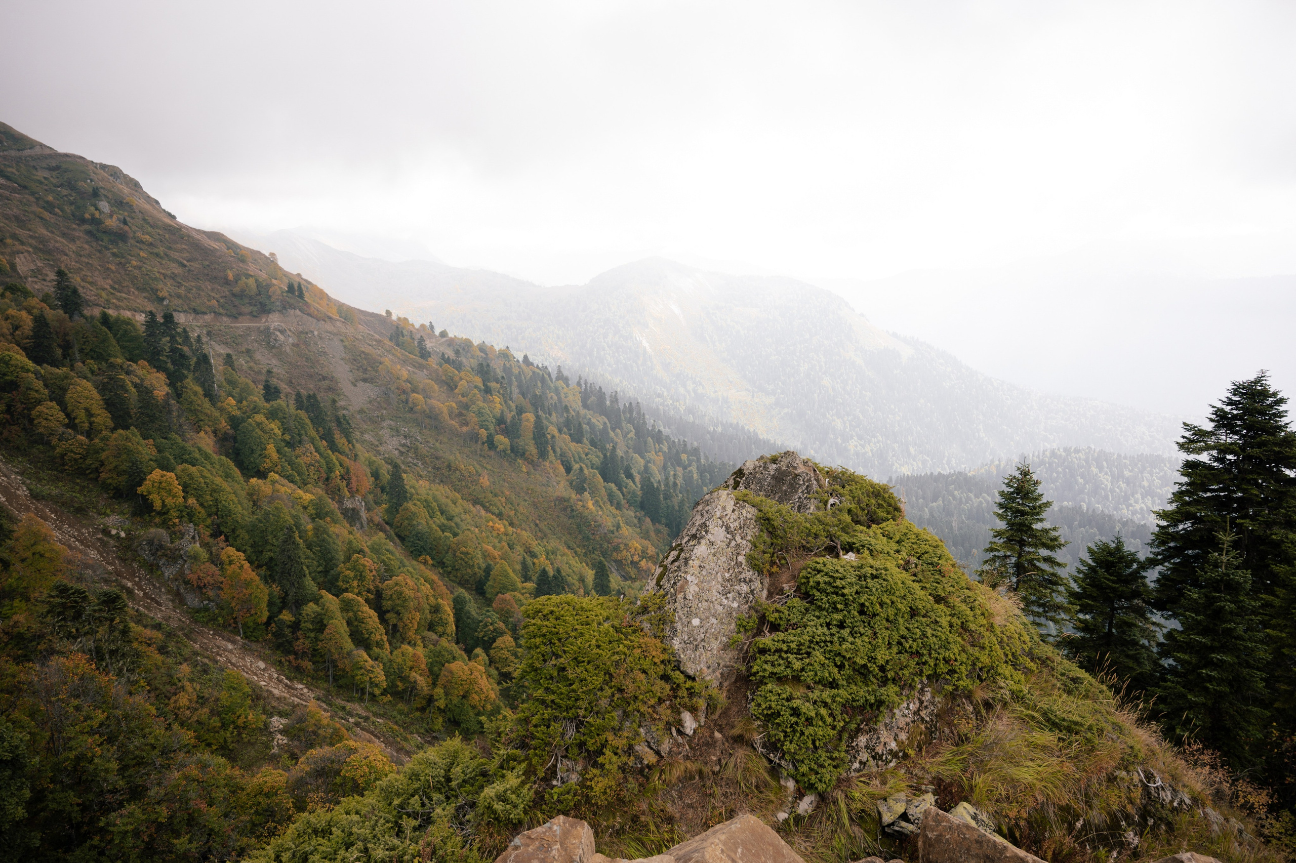 Выше гор только любовь. Свадебный и семейный фотограф Вероника Холод