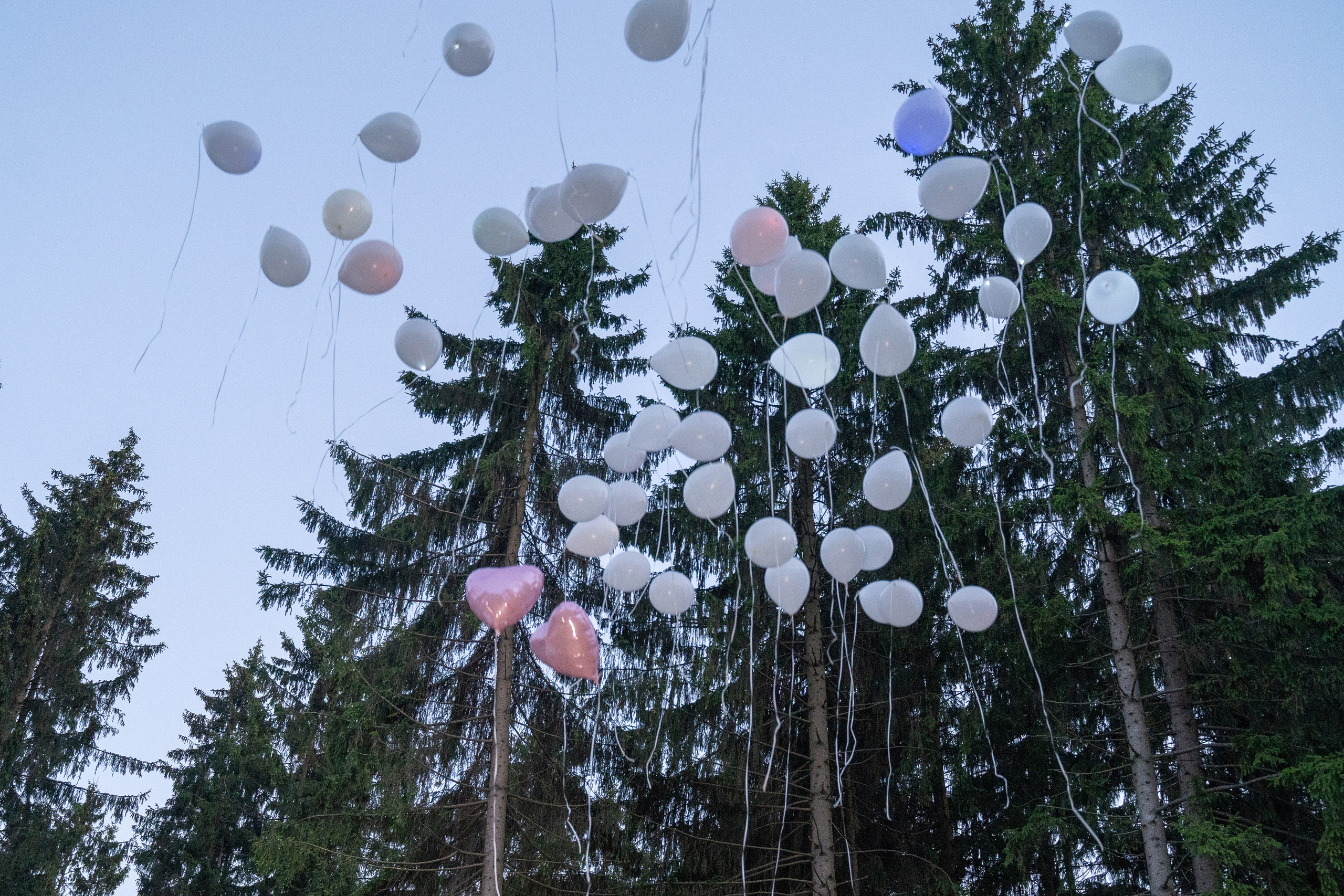 Дмитрий и Вика. Архив