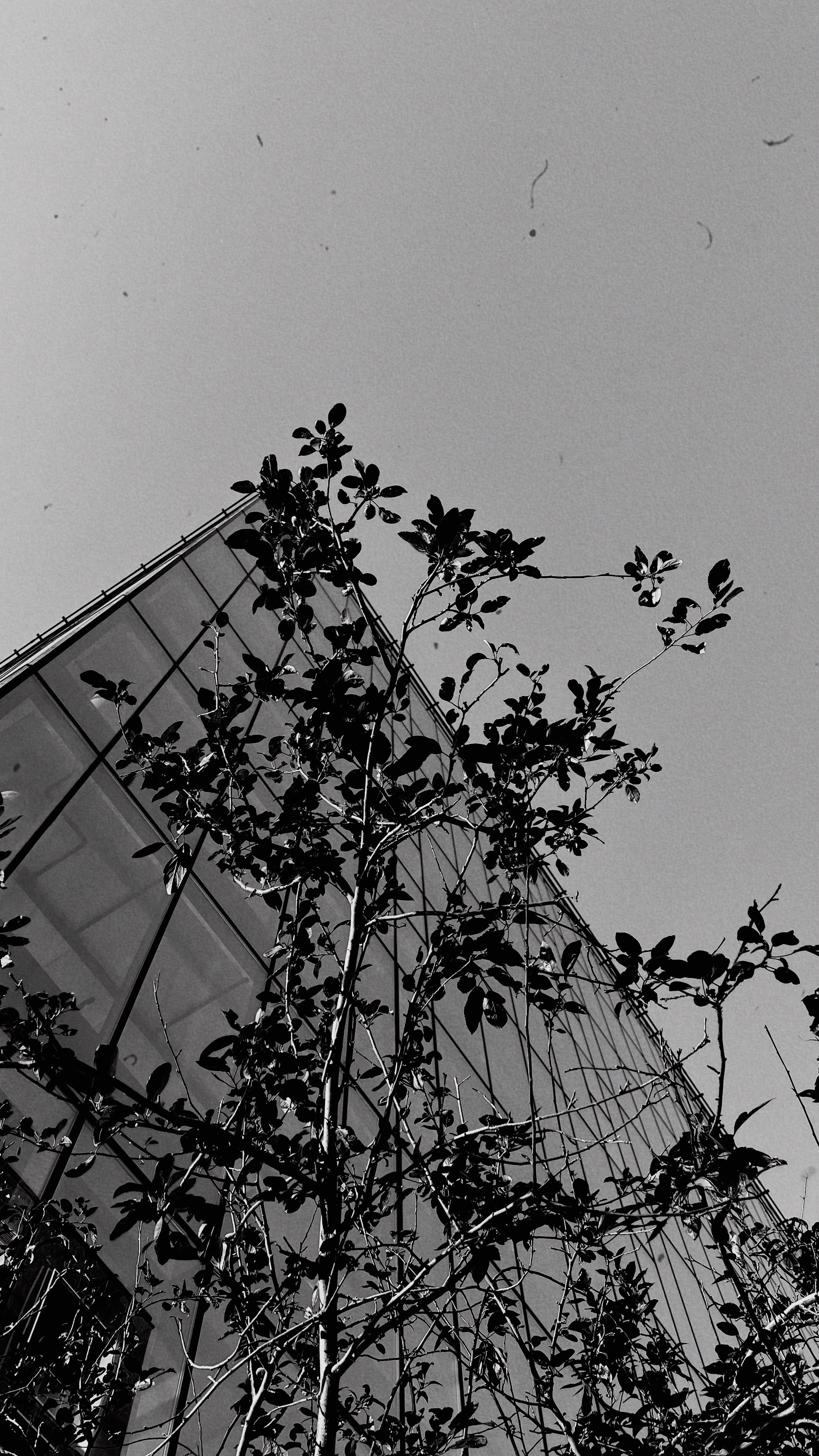 Тюмень. Фотограф в Тюмени Анастасия Долинина