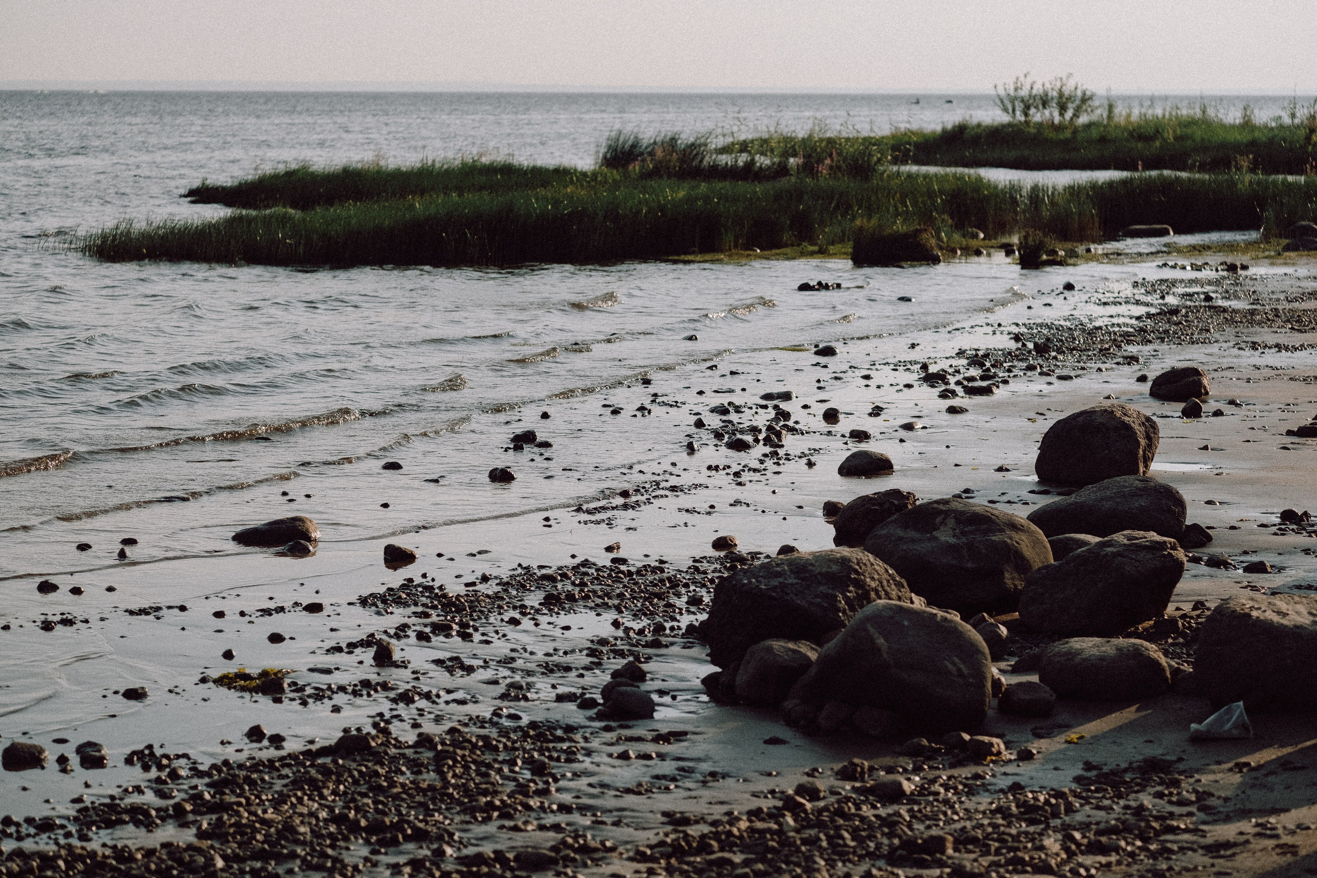 СВАДЕБНАЯ ФОТОСЕССИЯ ВЫЕЗДНОЙ ЦЕРЕМОНИИ (ФИНСКИЙ ЗАЛИВ). Профессиональный фотограф, Санкт-Петербург — Виктория Богомолова