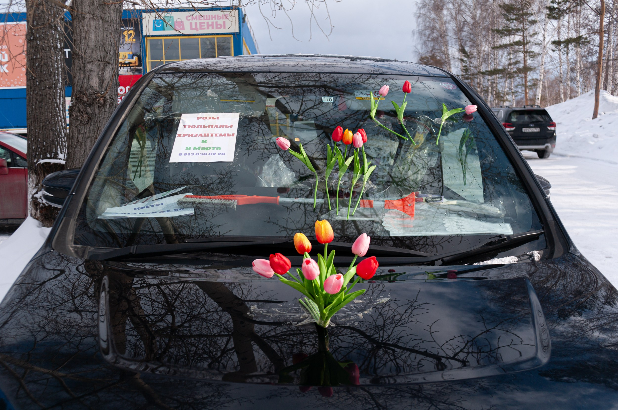 Праздники. Николай Пак