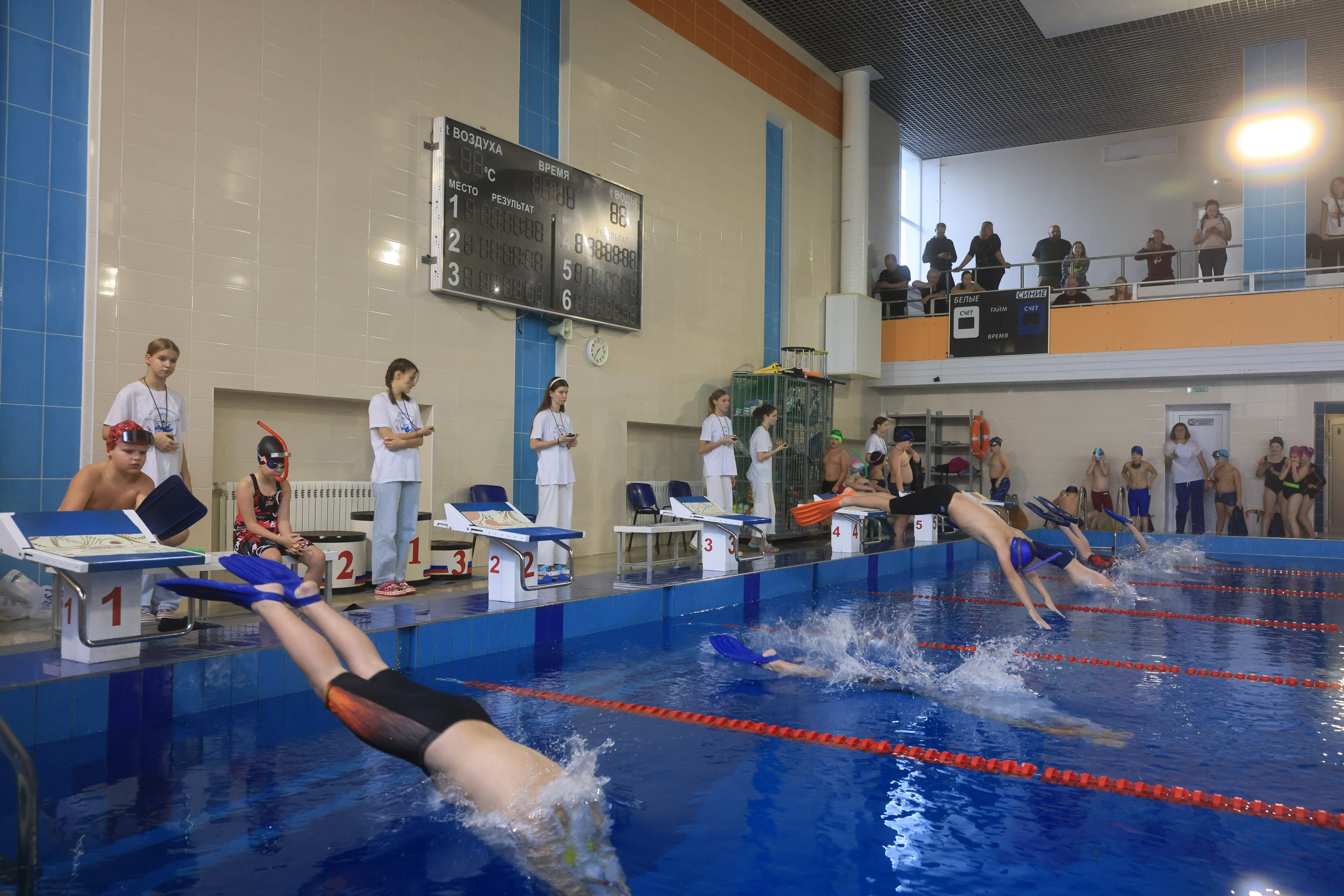 Плавание в ластах (разные годы, более 10 репортажей выборка пополняемая). Фотограф в Туле Крупский АнДРей. Фотостудия «КАДР71» в Туле