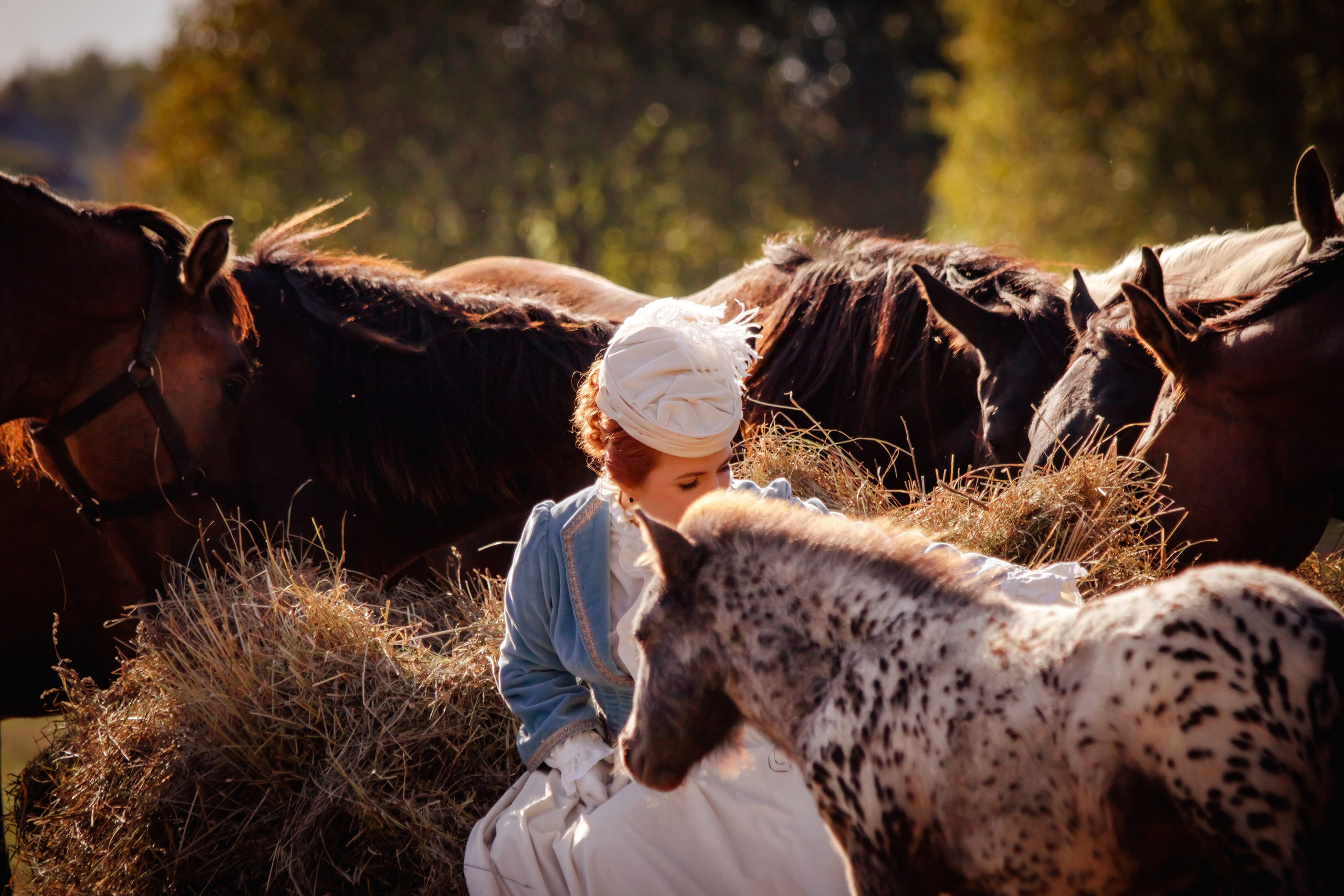 Фотосессия в Аванпост. Фотограф анималист — Тула, Москва