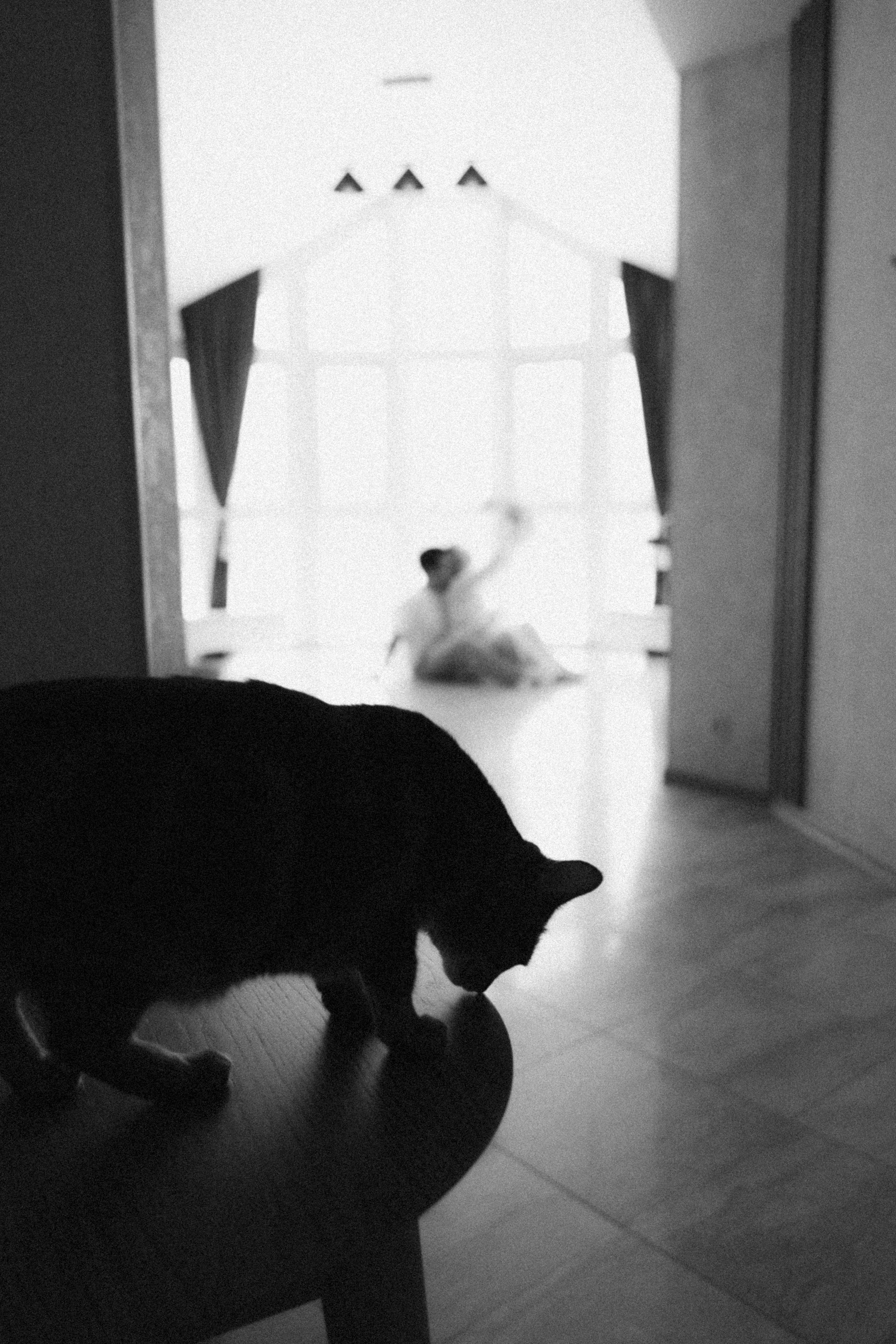 Марьям и Серафим. Фотограф НатаФото (Наталья Яковенко) Дмитров Москва Питер